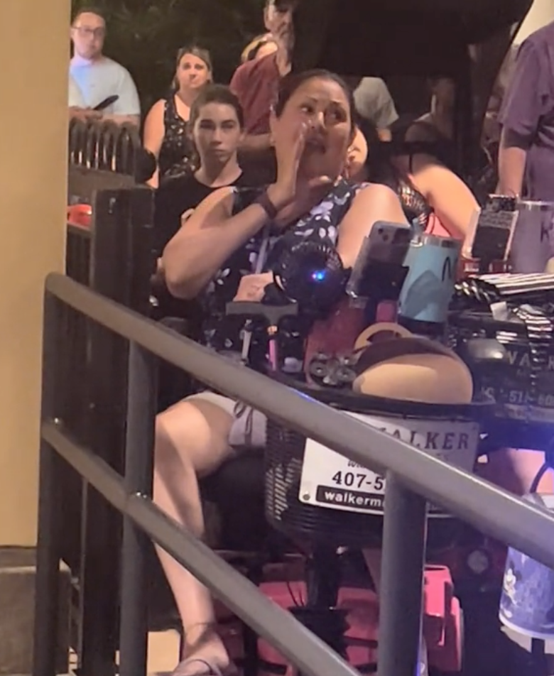 Irate Guest Causes Scene At Disney World Over Inoperable Skyliner