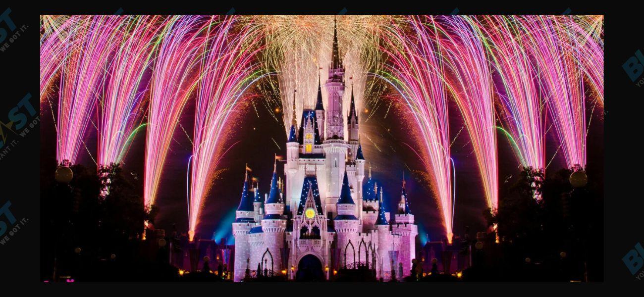 ///Disney World Fireworks