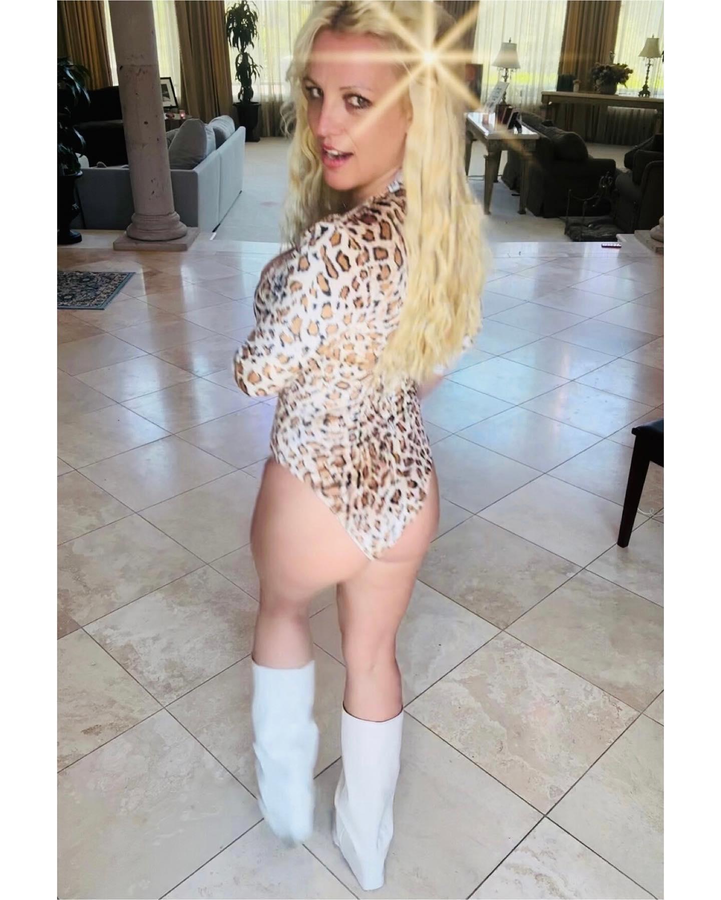 Britney Spears In Plunging Animal-Print Bodysuit Says ‘Just Me’