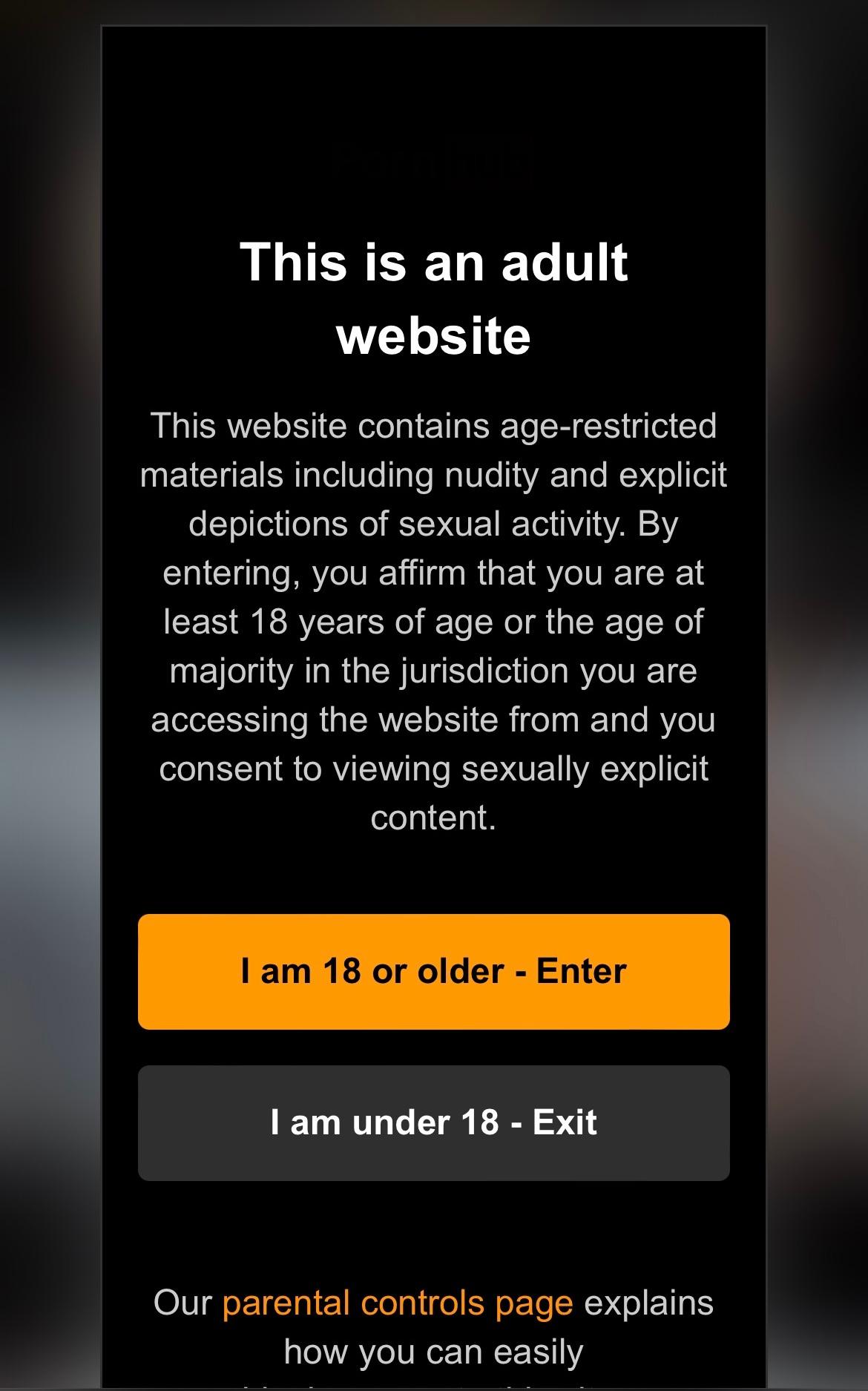 Warning message to users attempting to access adult websites