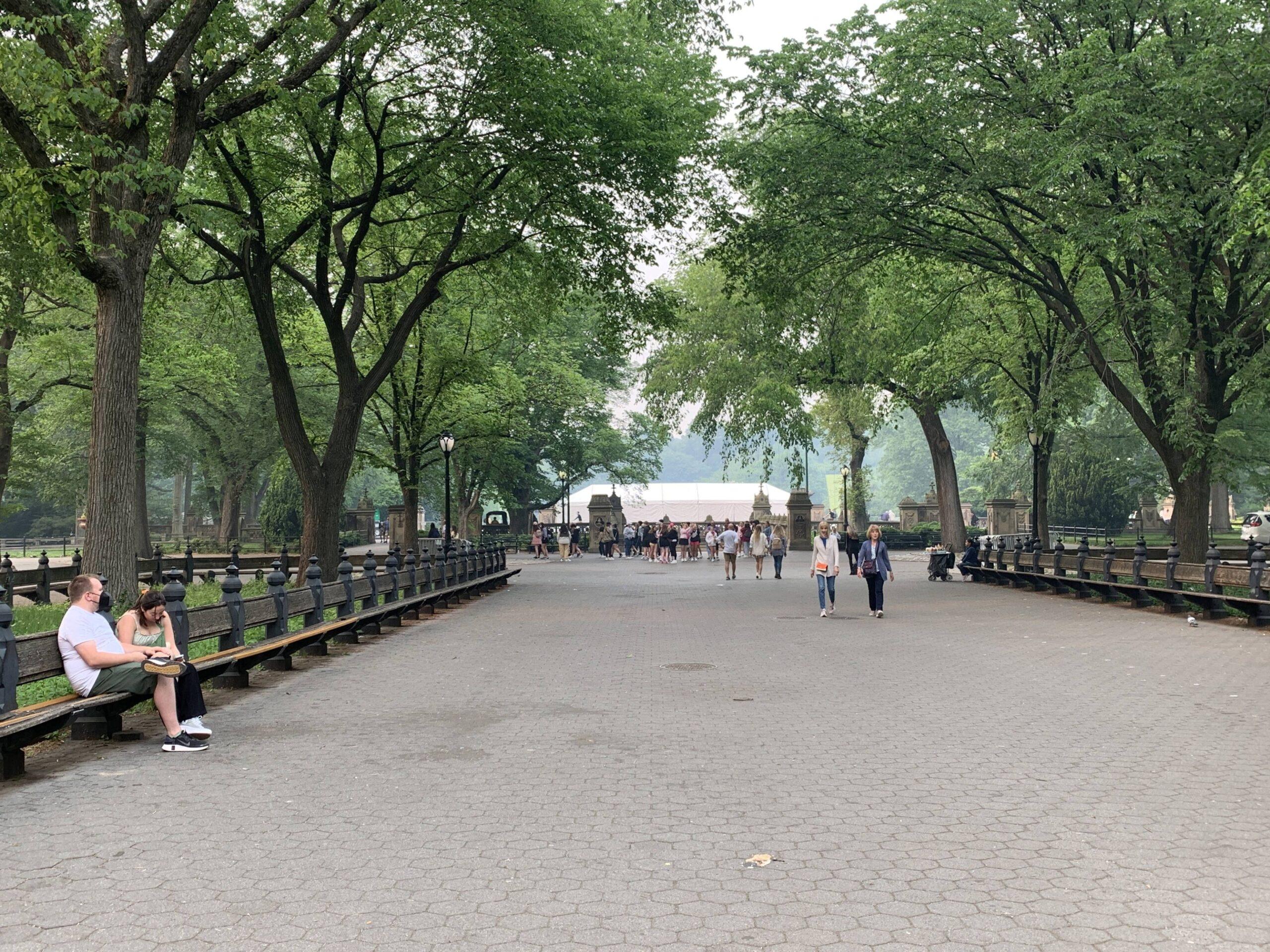 A nearly empty Central Park in New York City
