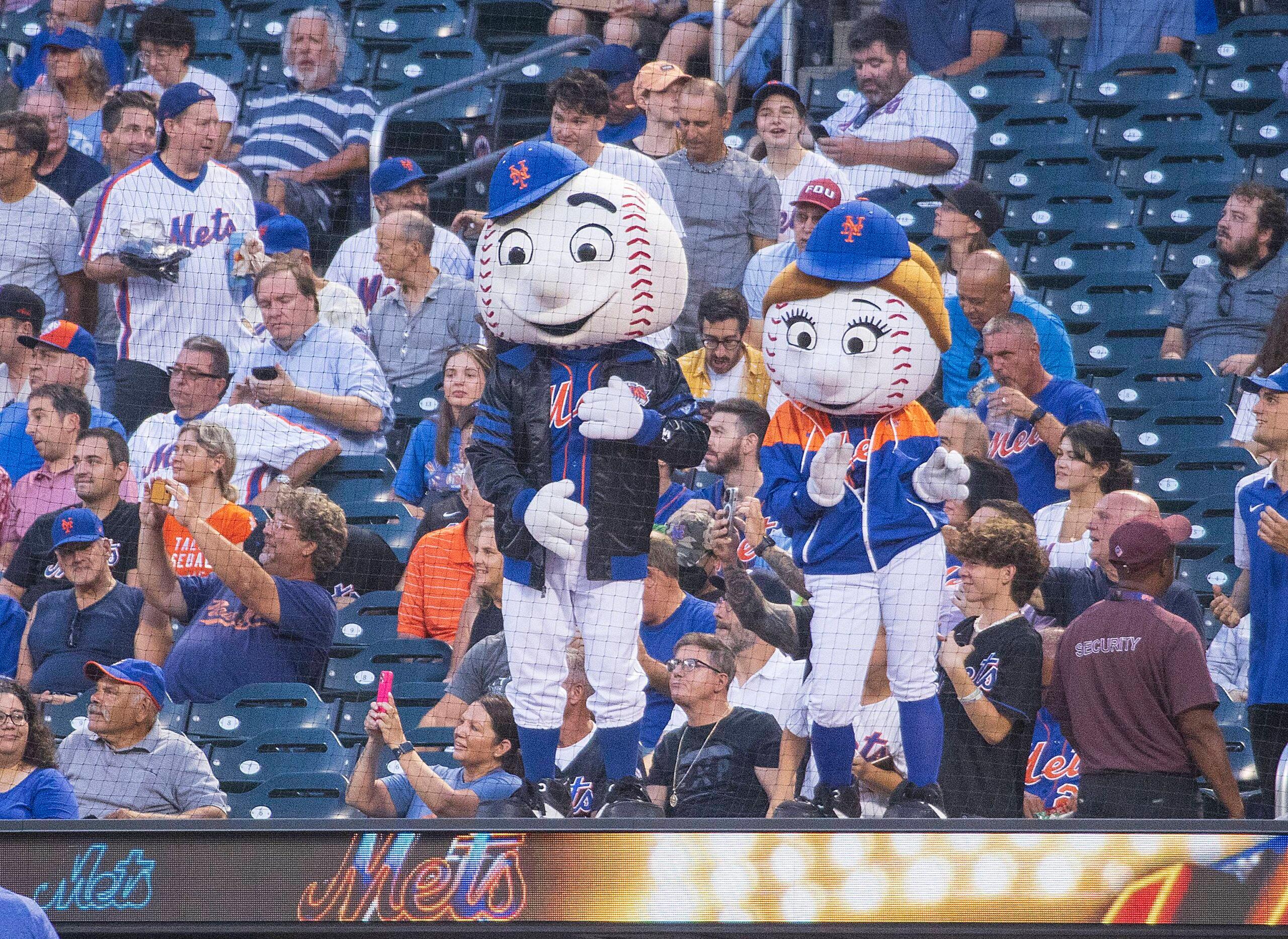 Metts Mascot. 