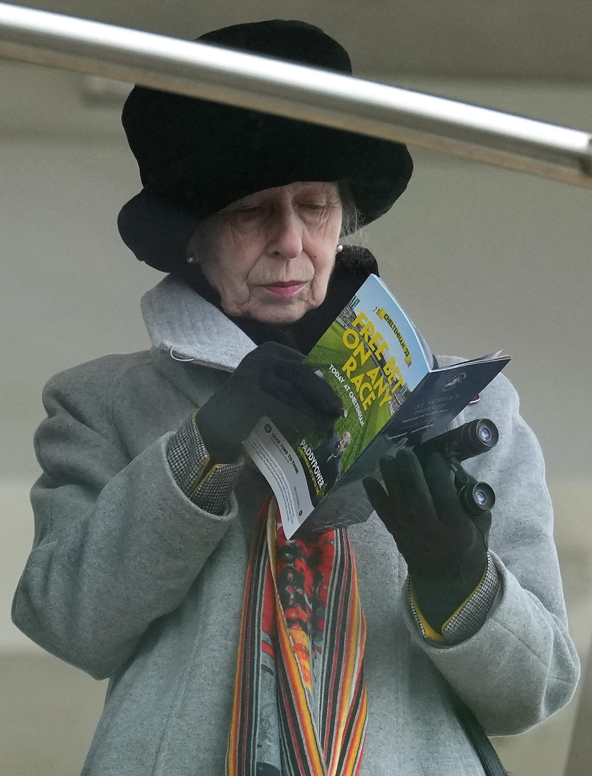 Princess Anne photographed during Day Three of the Cheltenham Festival