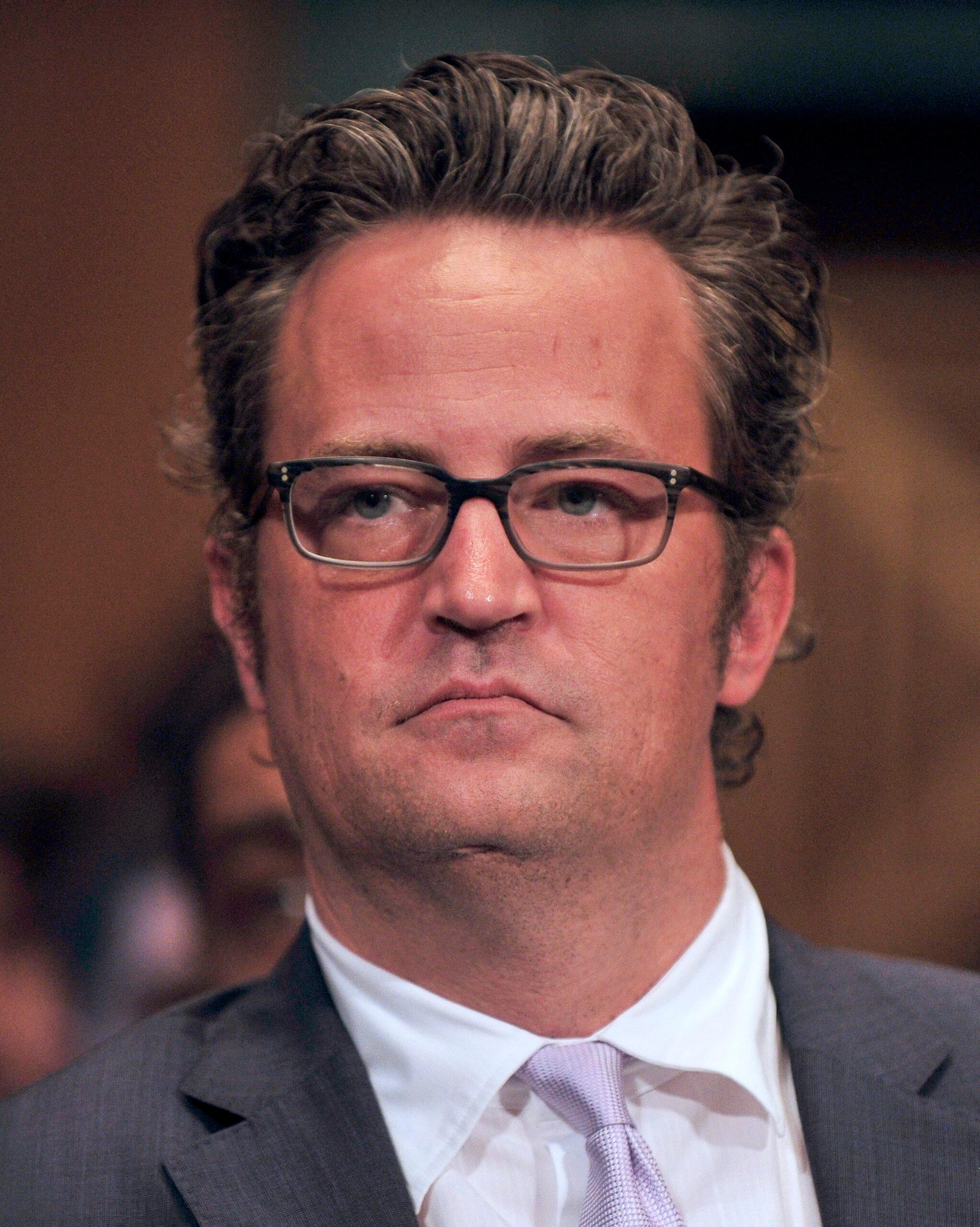 Actor Matthew Perry listens as actor Martin Sheen testifies during a hearing