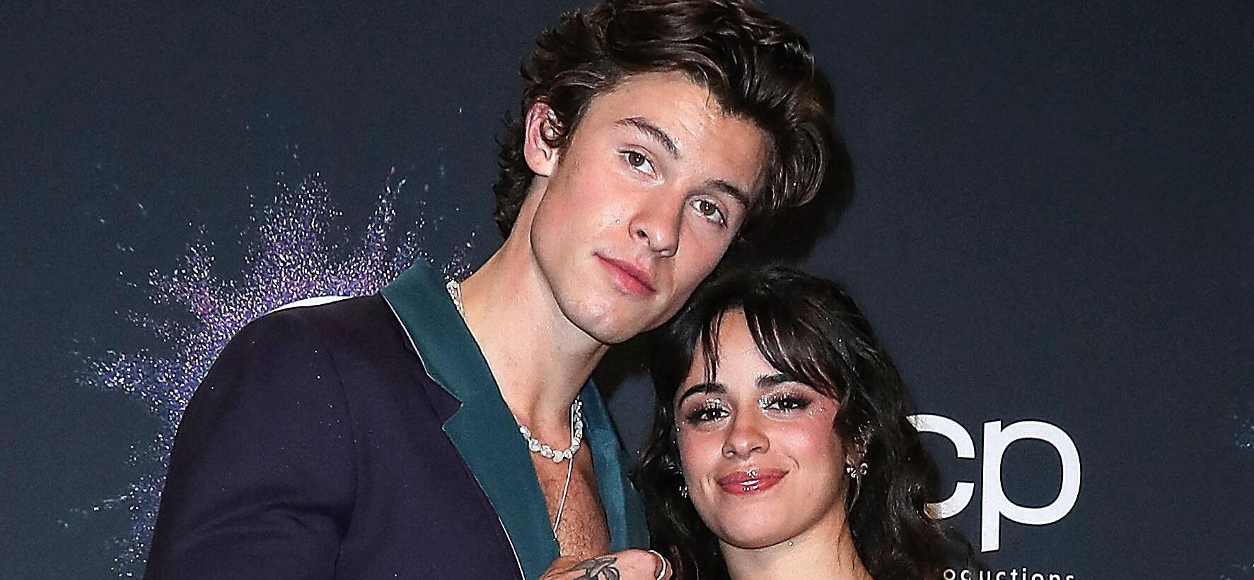 Camila Cabello and Shawn Mendes pose in the press room during the 2019 American Music Awards