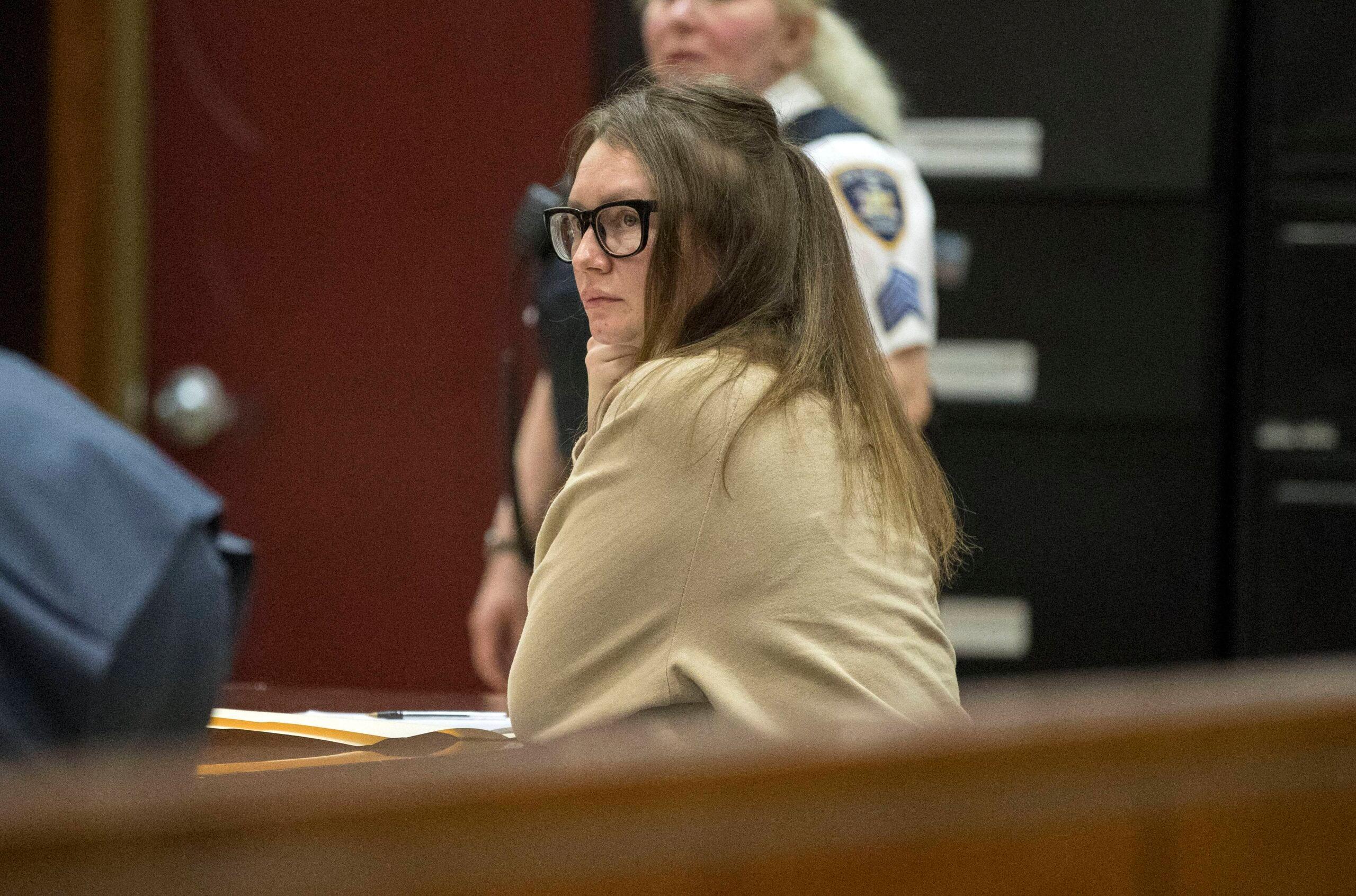 Anna Sorokin sits in front of the judge for a hearing in her case