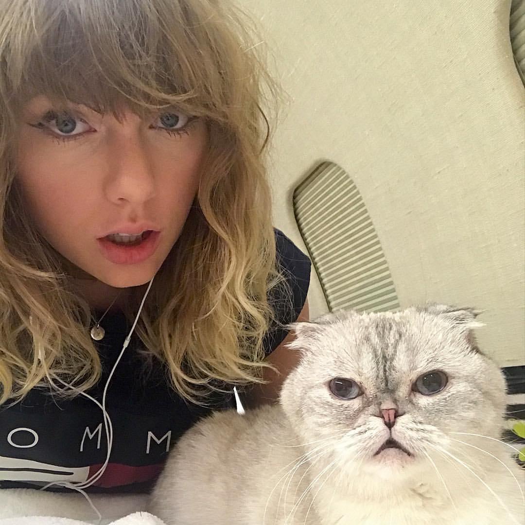 Taylor Swift com um de seus gatos