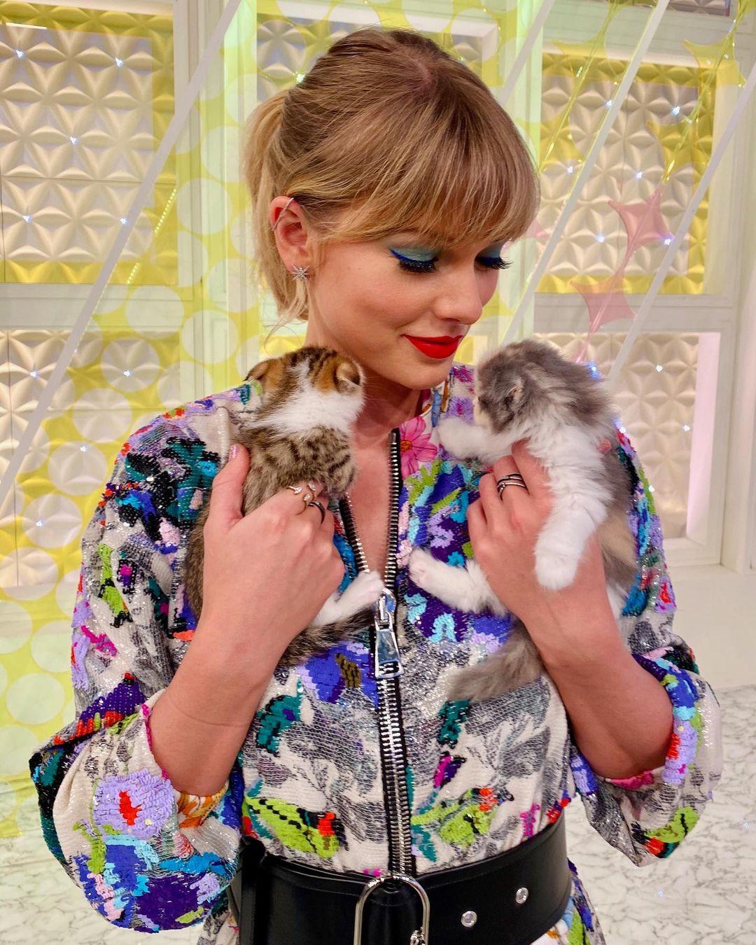 Taylor Swift with kittens