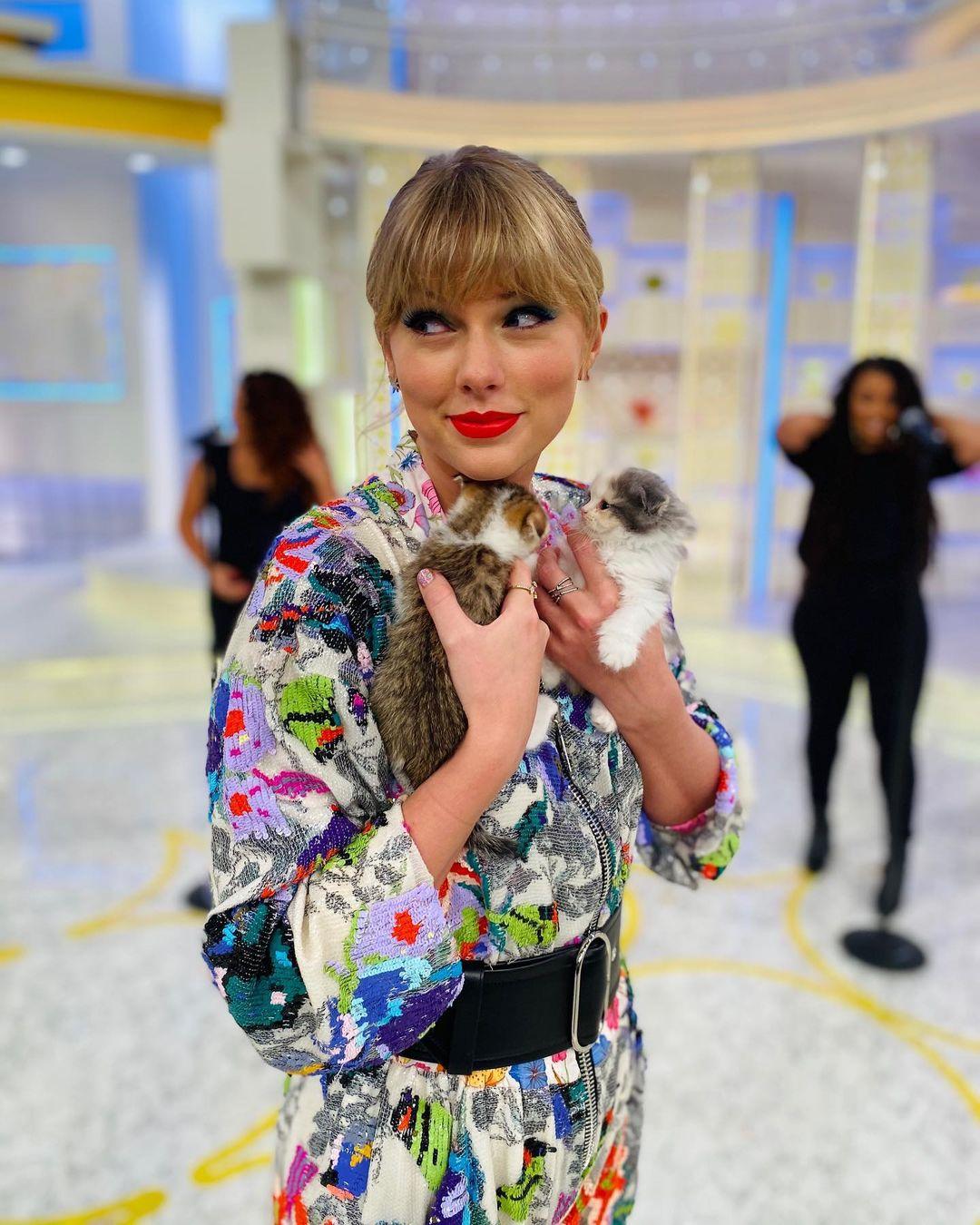 Taylor Swift with kittens