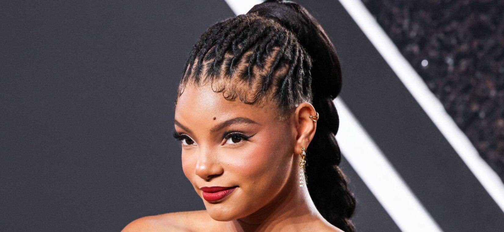 ELMONT, NEW YORK, USA - SEPTEMBER 11: 2024 MTV Video Music Awards held at UBS Arena on September 11, 2024 in Elmont, New York, United States. 12 Sep 2024 Pictured: Halle Bailey. Photo credit: Xavier Collin/Image Press Agency/MEGA TheMegaAgency.com +1 888 505 6342 (Mega Agency TagID: MEGA1197972_099.jpg) [Photo via Mega Agency]