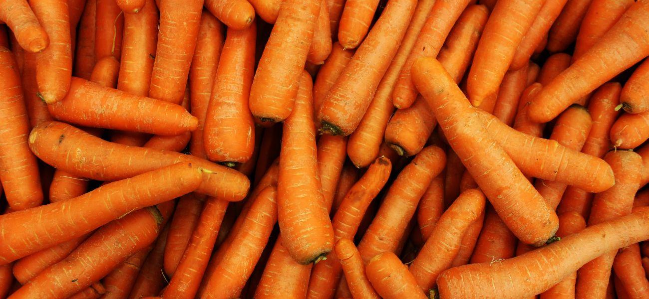 a bunch of baby carrots