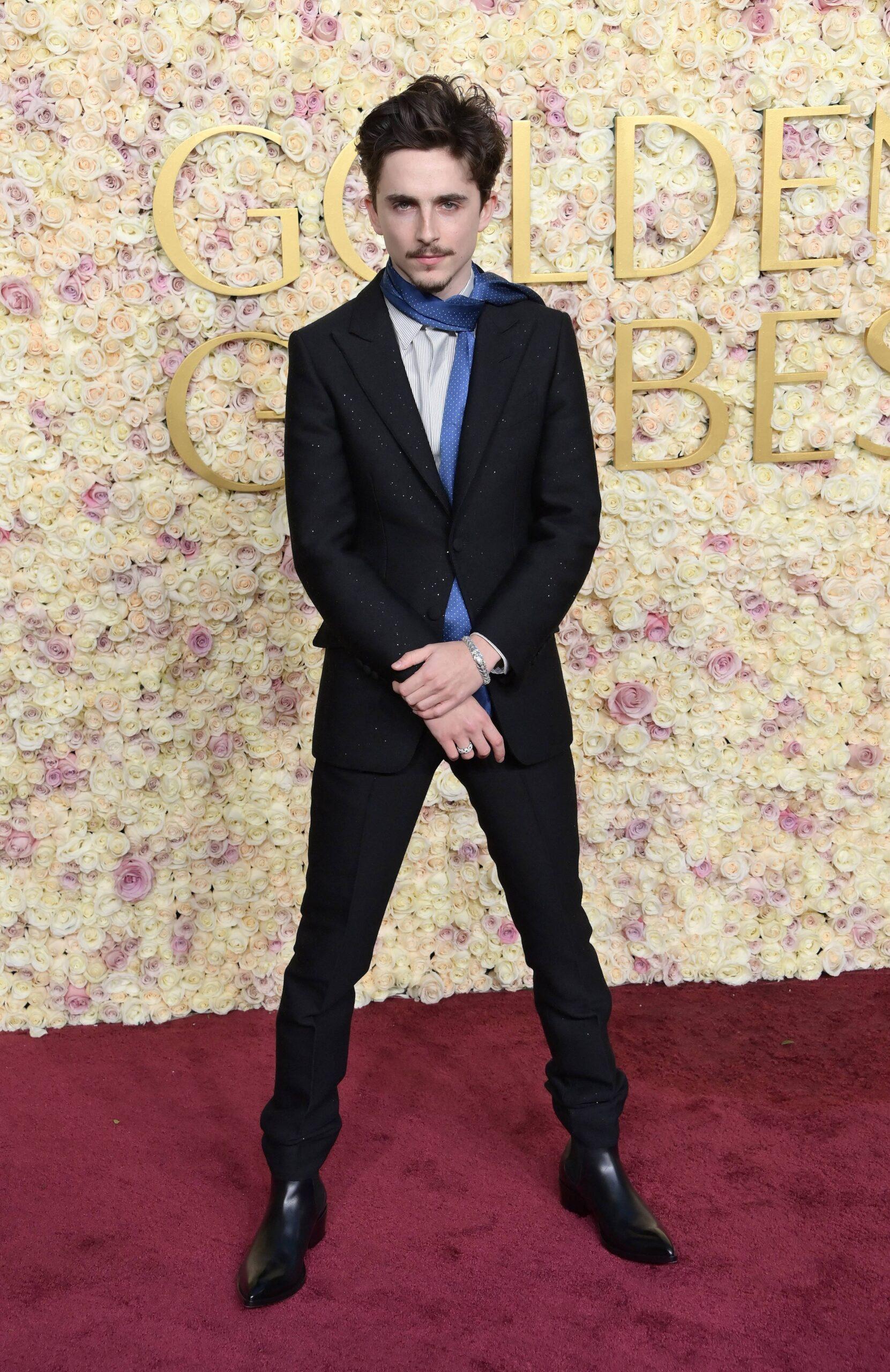 Timothy Chalamet on Gold Globes