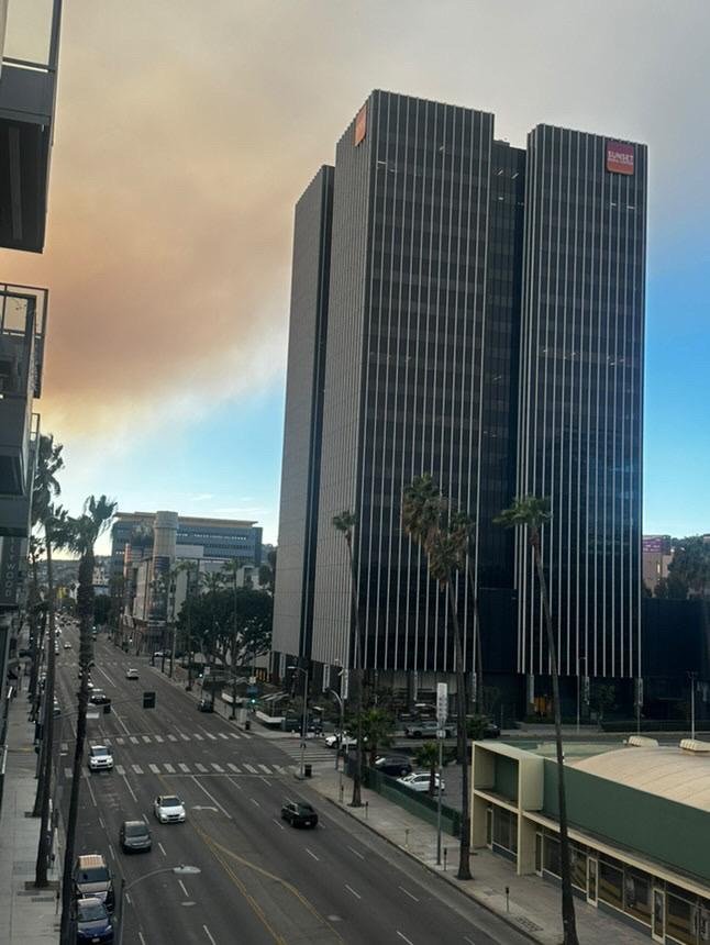 LA Fires