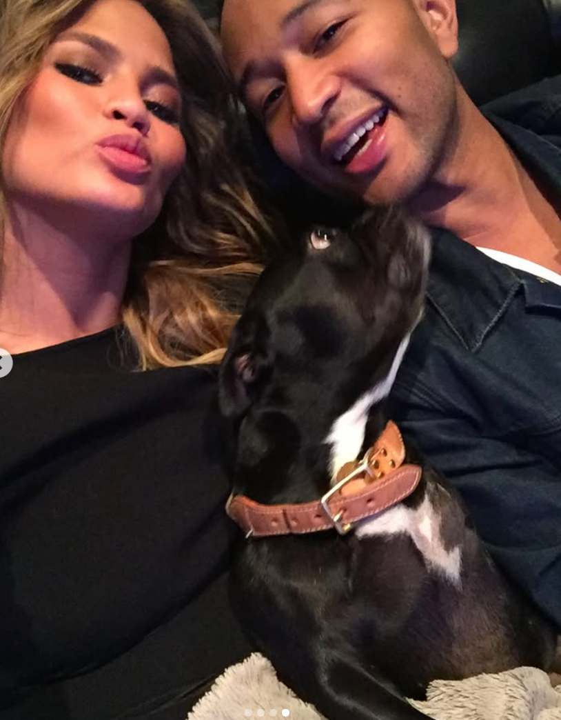 Chrissy Teigen, John Legend and dog