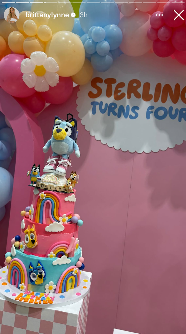 Sterling's Bluey Birthday Bash