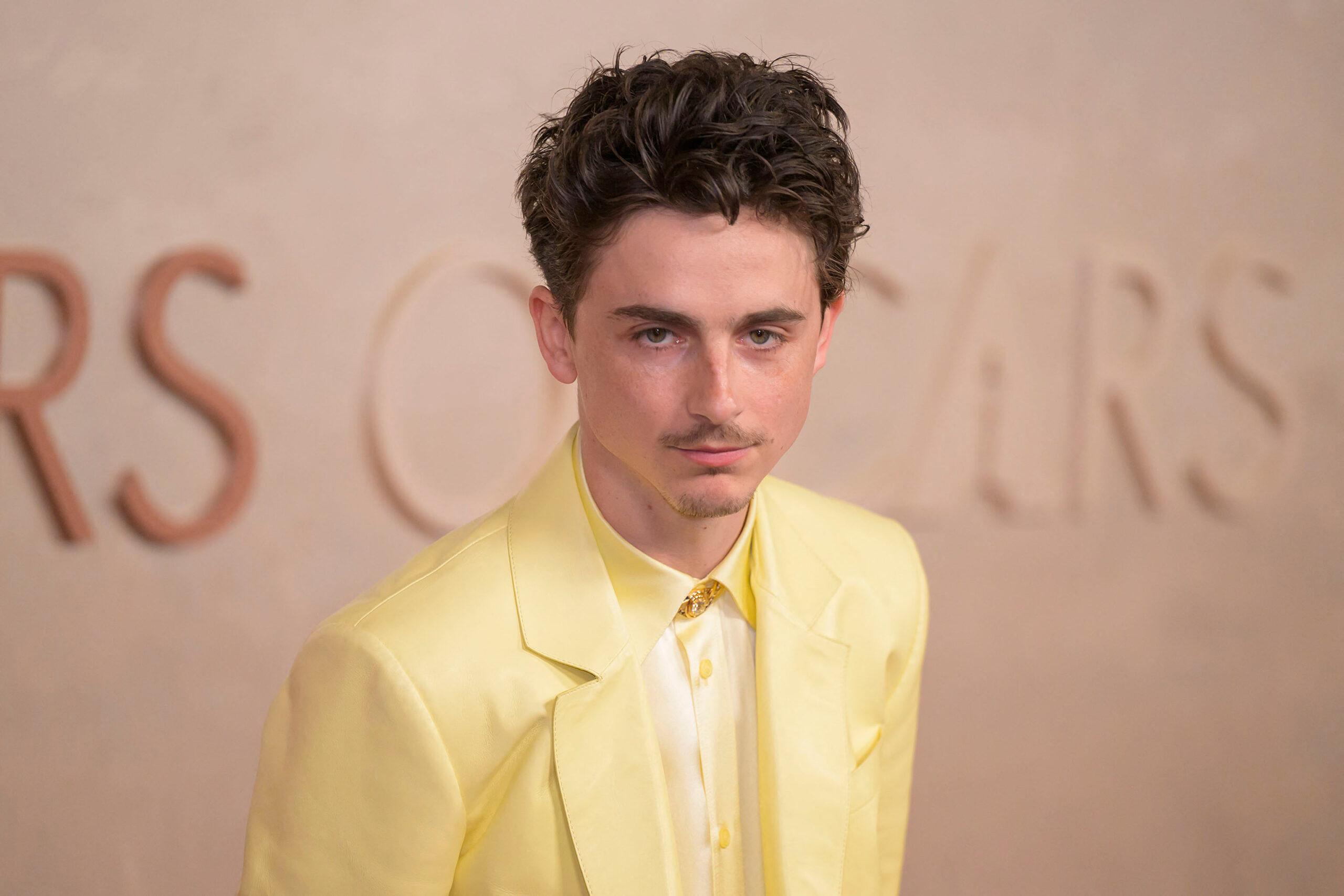 Timothee Chalamet di Oscar ke -97