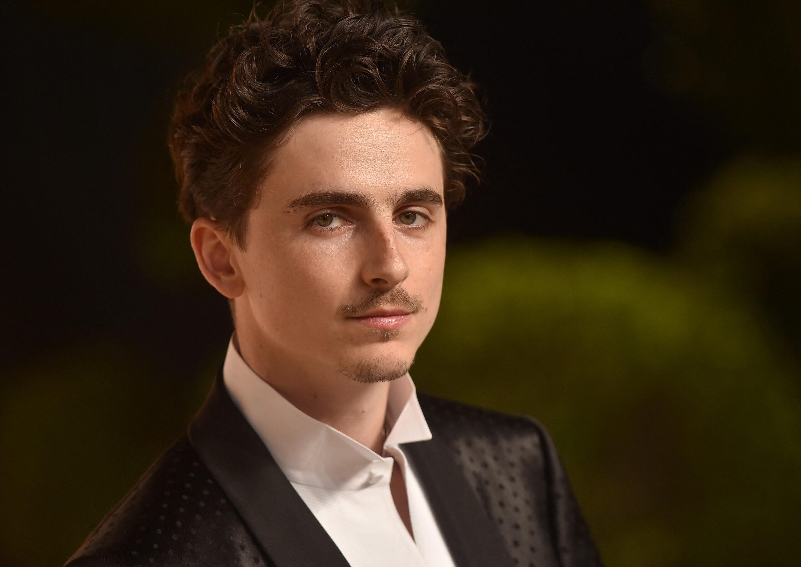 Timothee Chalamet at Vanity Fair Oscar Party 2025