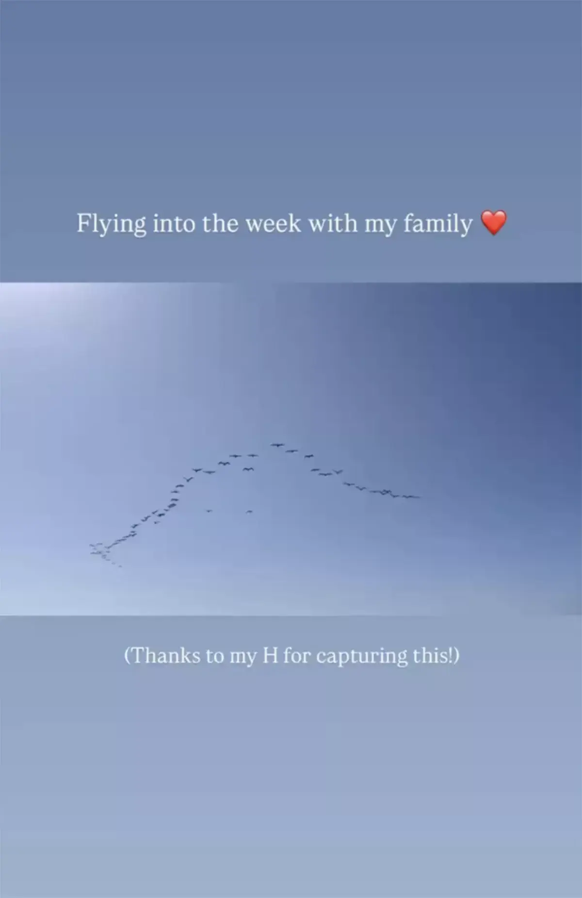 Screenshot of Meghan Markle's video featuring birds