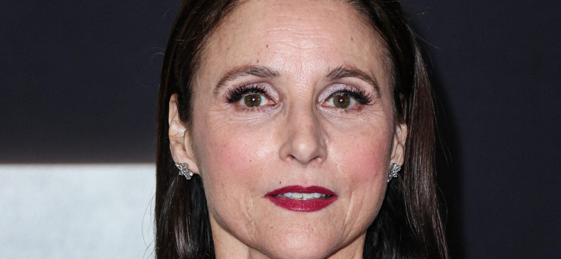 Julia Louis-Dreyfus at Los Angeles Premiere Of Netflix's 'You People'