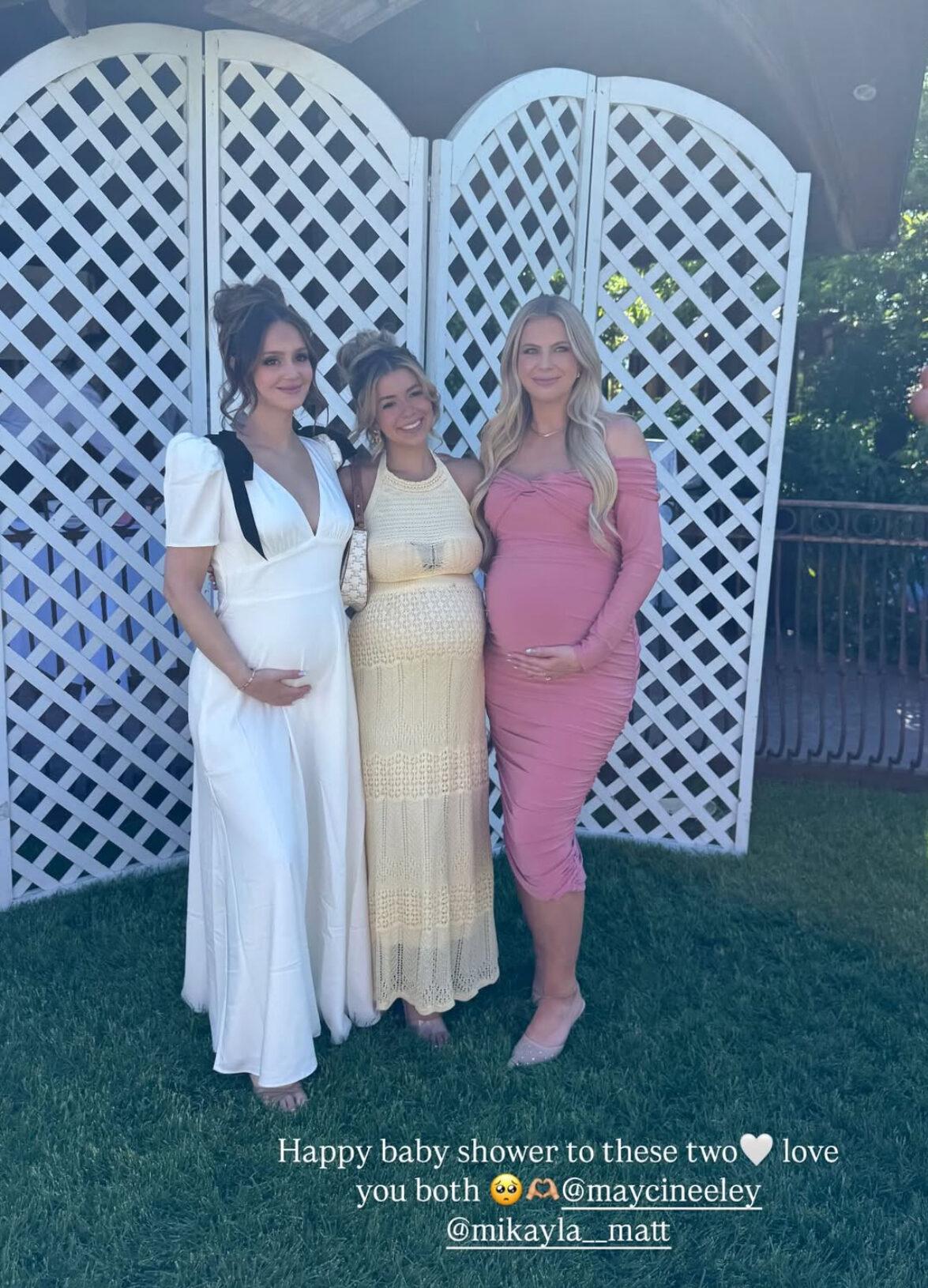 Mormon Wives