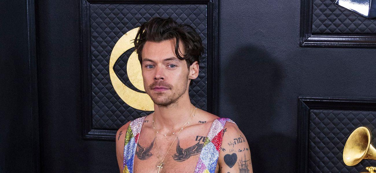 Harry Styles on the red carpet