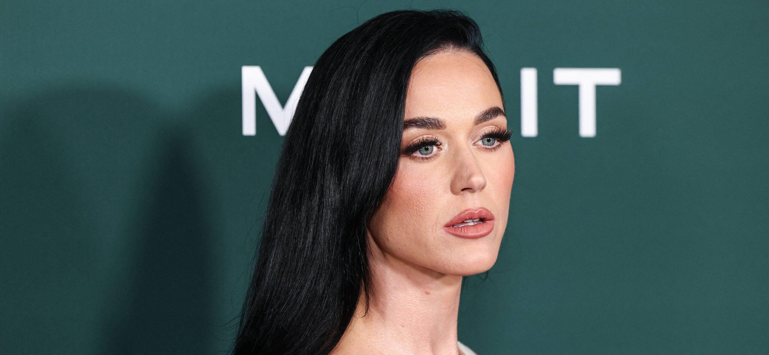 Katy Perry at 2024 Baby2Baby Gala