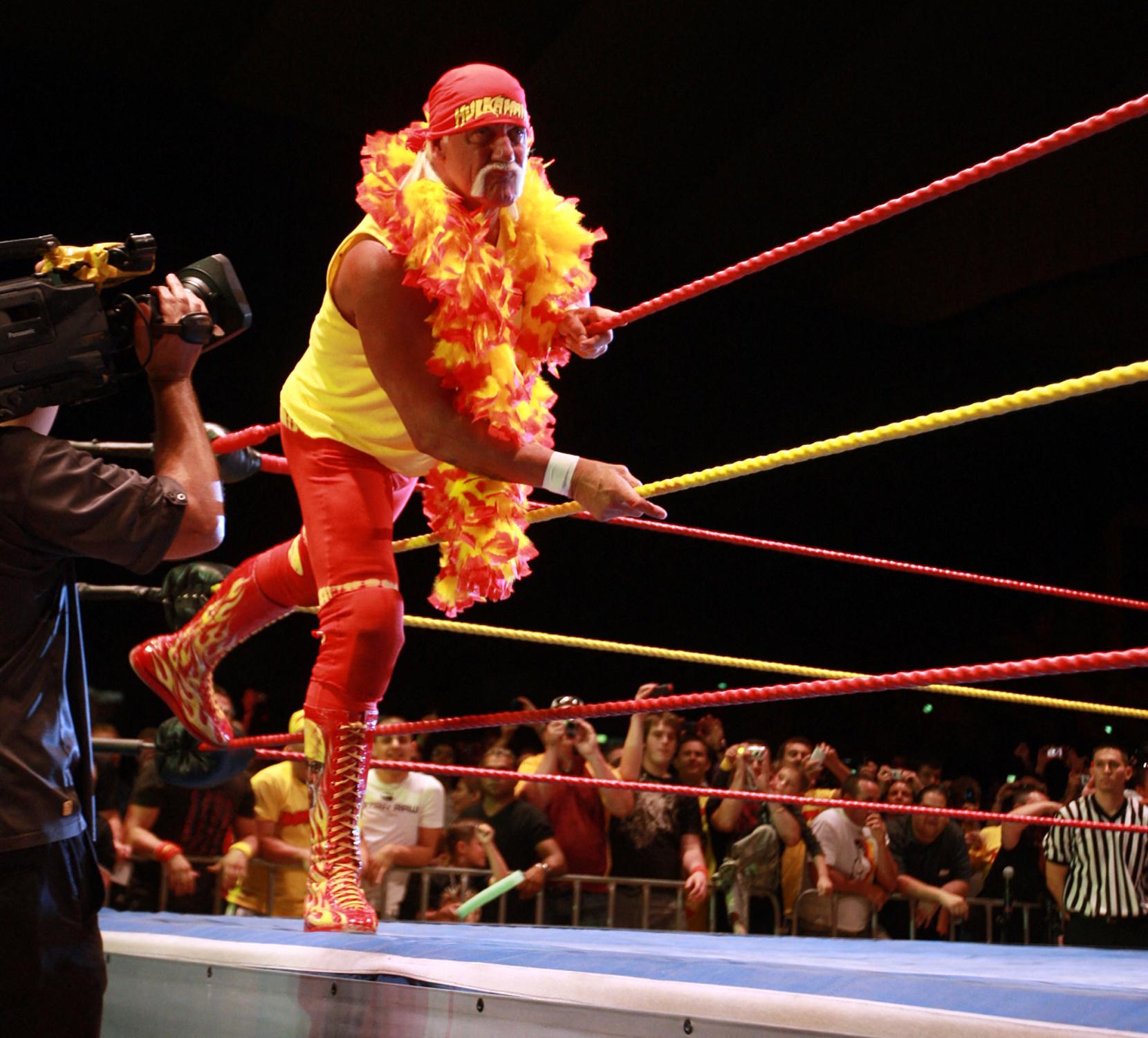Hulk Hogan in WWF