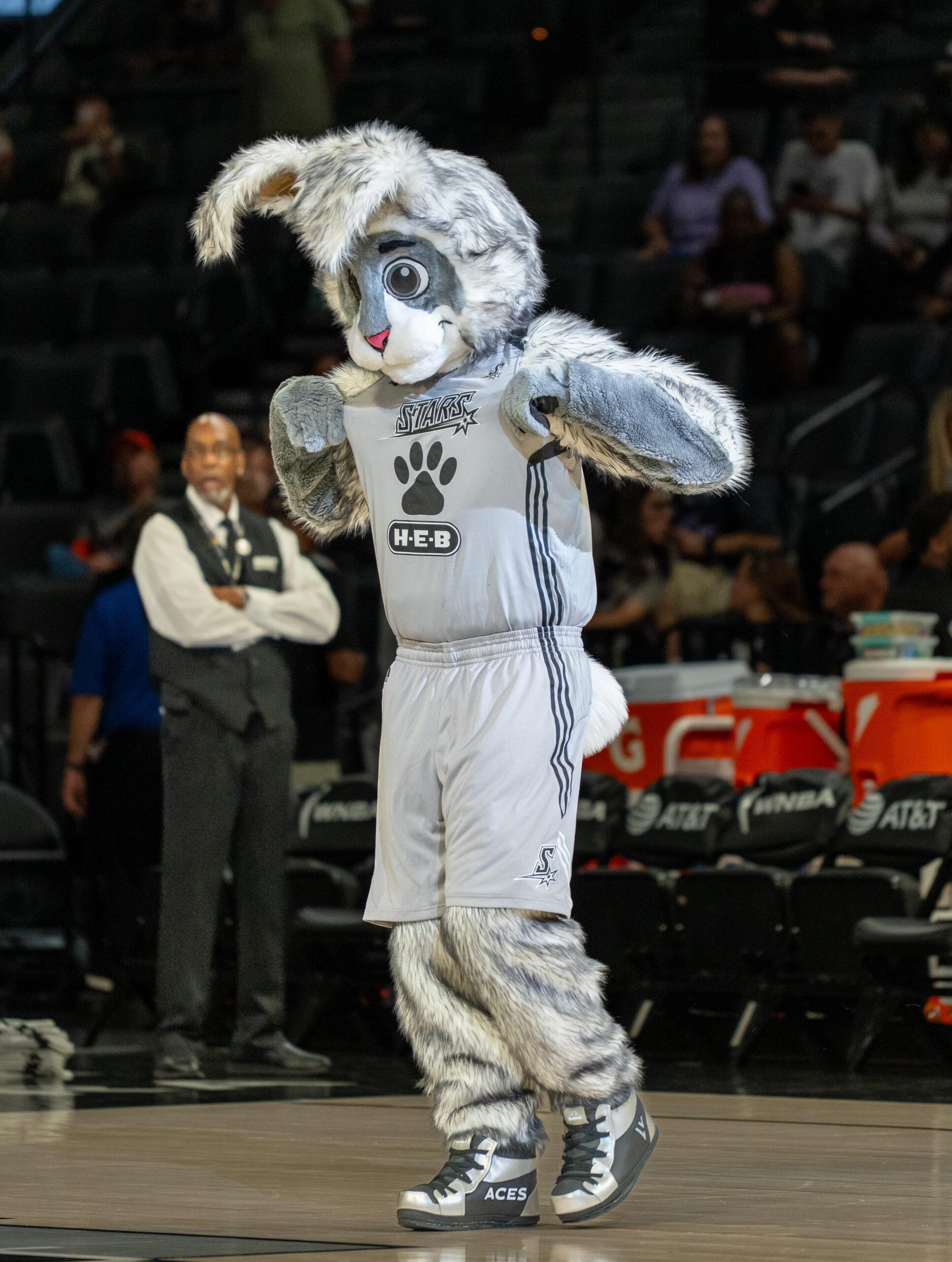Las Vegas Aces mascot BUCKET$
