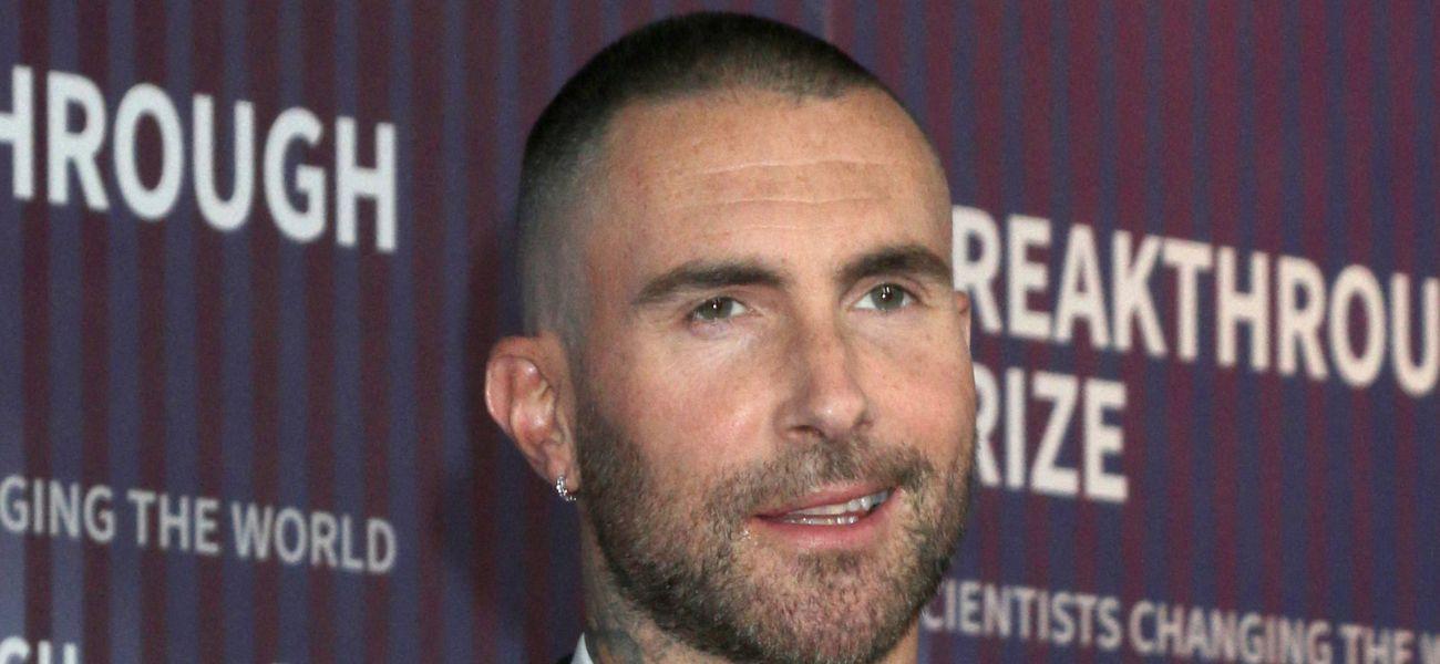 Adam Levine on the red carpet
