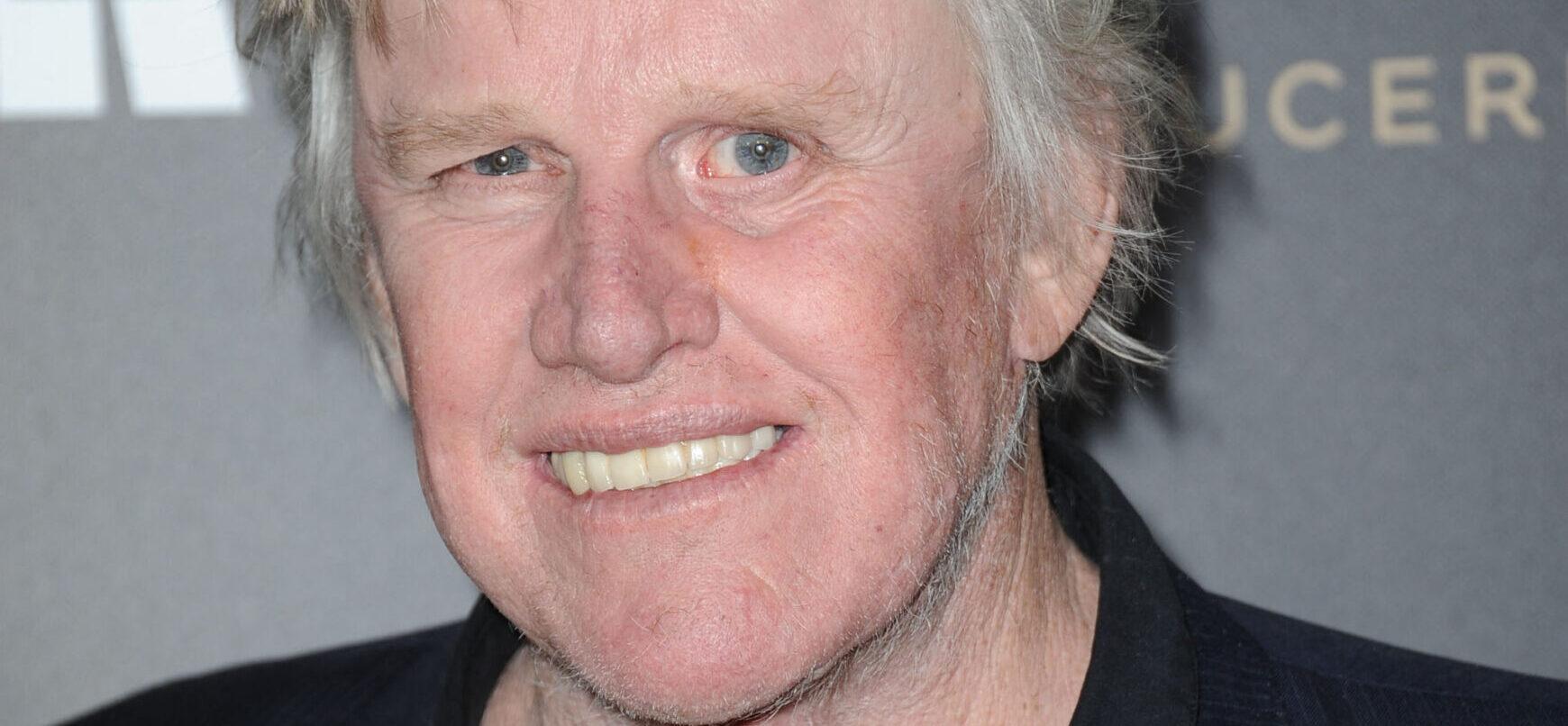 Gary Busey at the premiere of 'John Wick: Chapter 2' in Hollywood