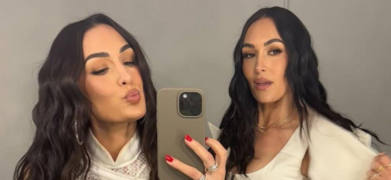 Nikki and Brie Bella selfie