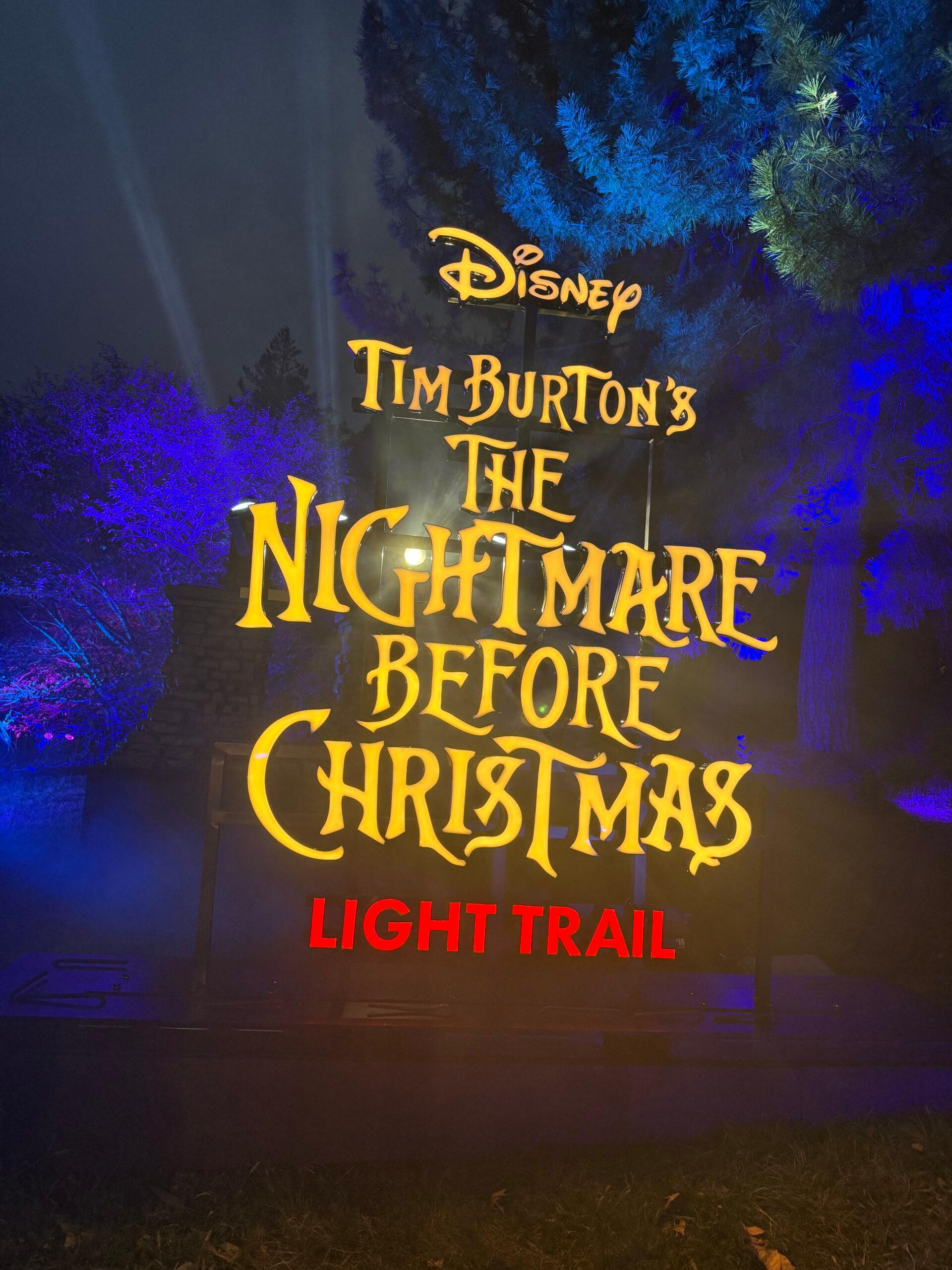 Nightmare Before Christmas light trail in new york
