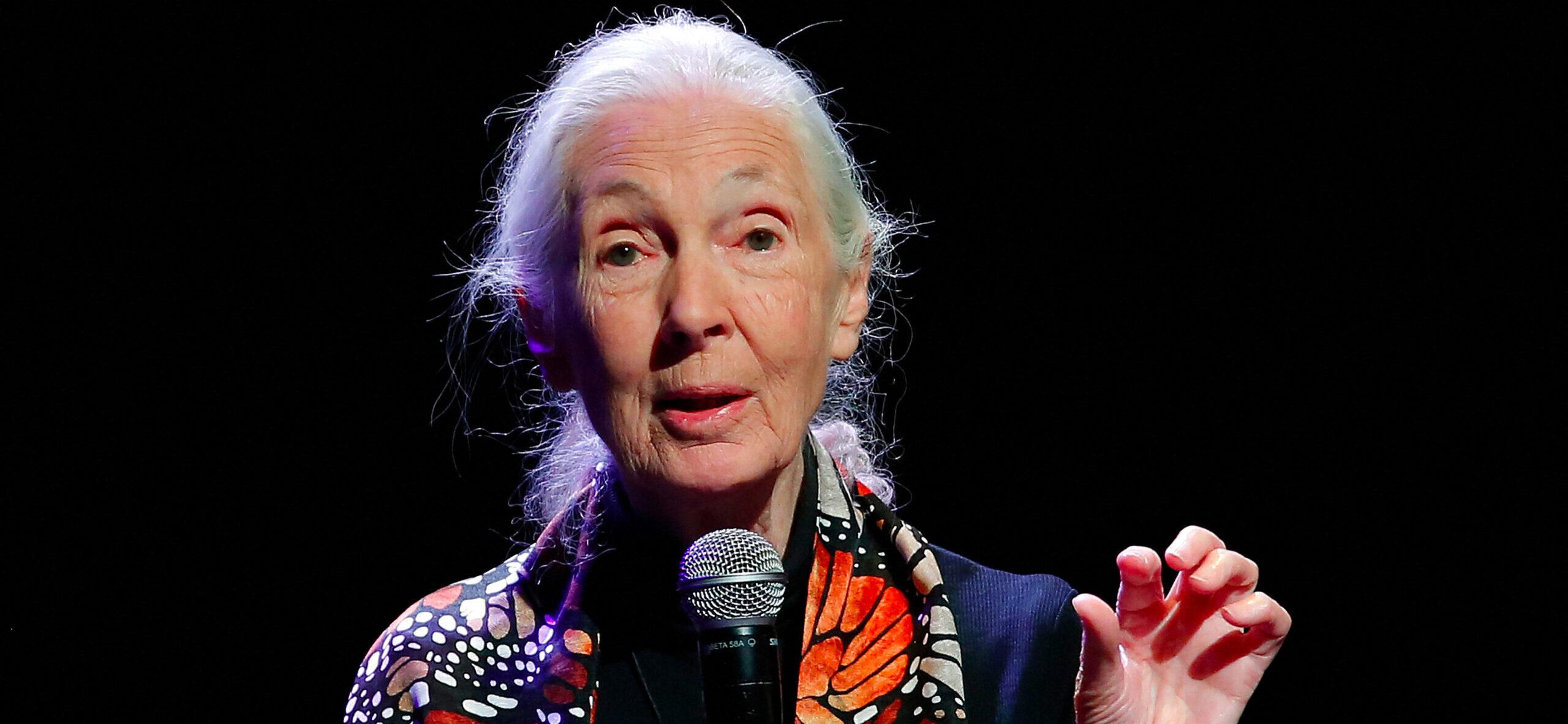 Jane Goodall