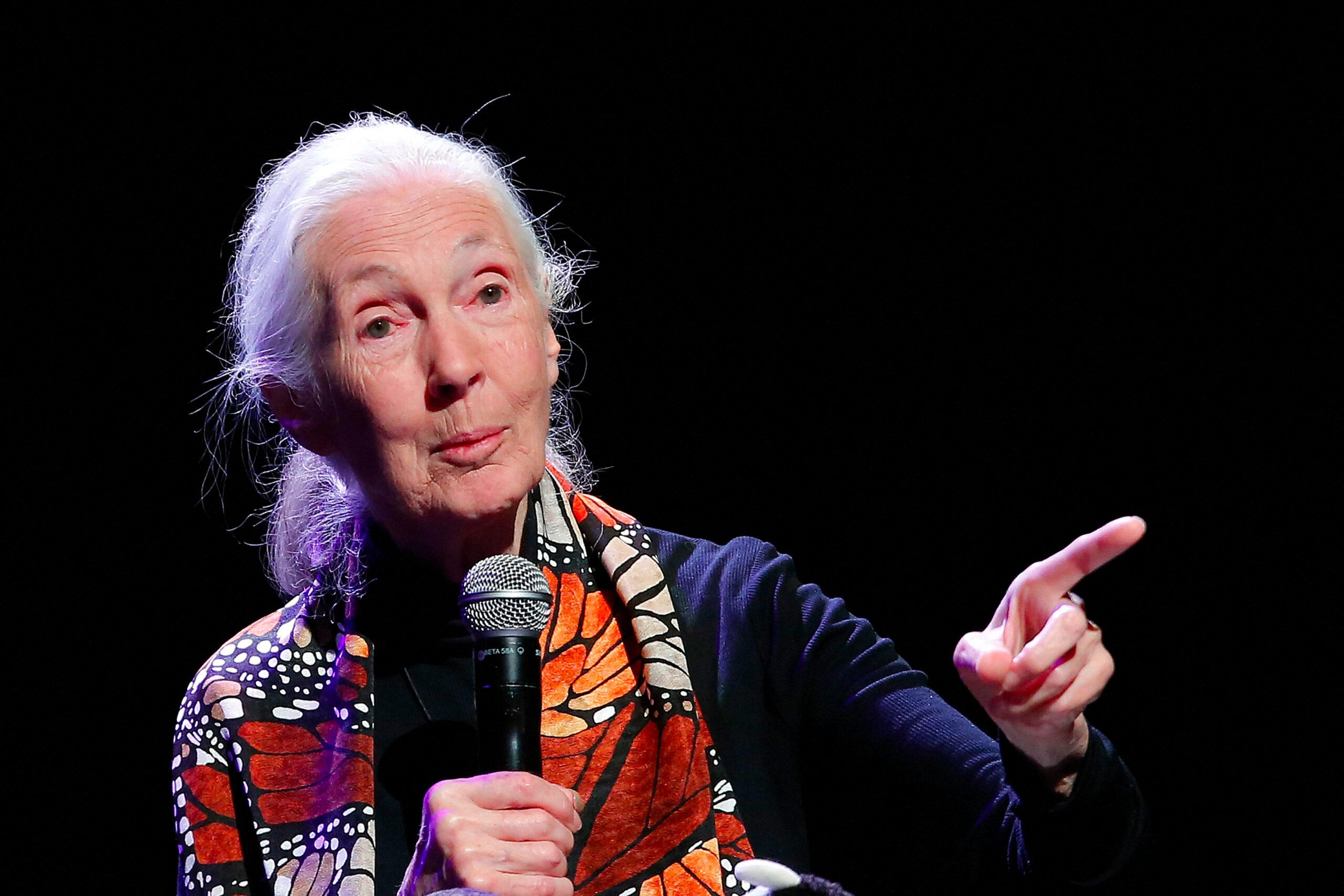 Jane Goodall