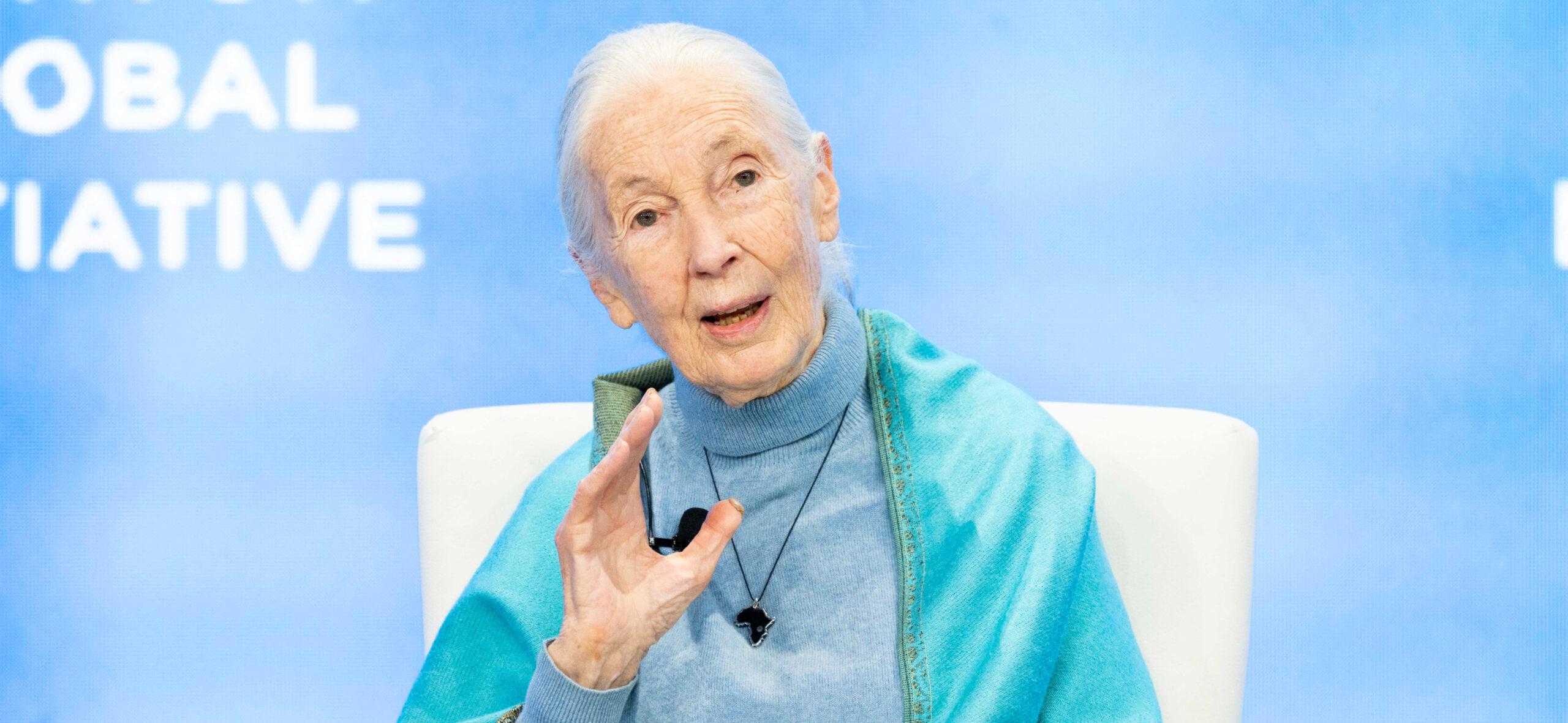 Dr. Jane Goodall