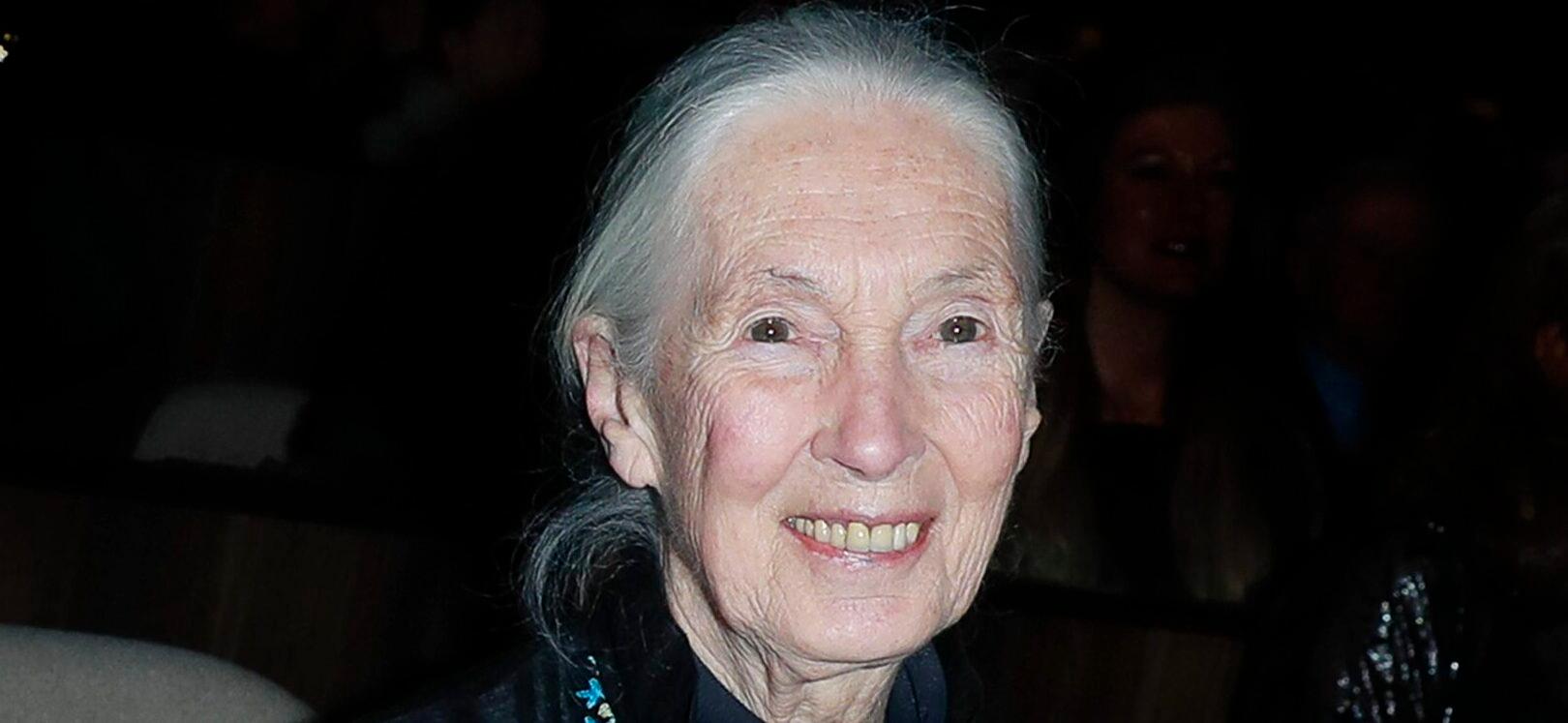 Jane Goodall - Documentary Screening of Her Journey
