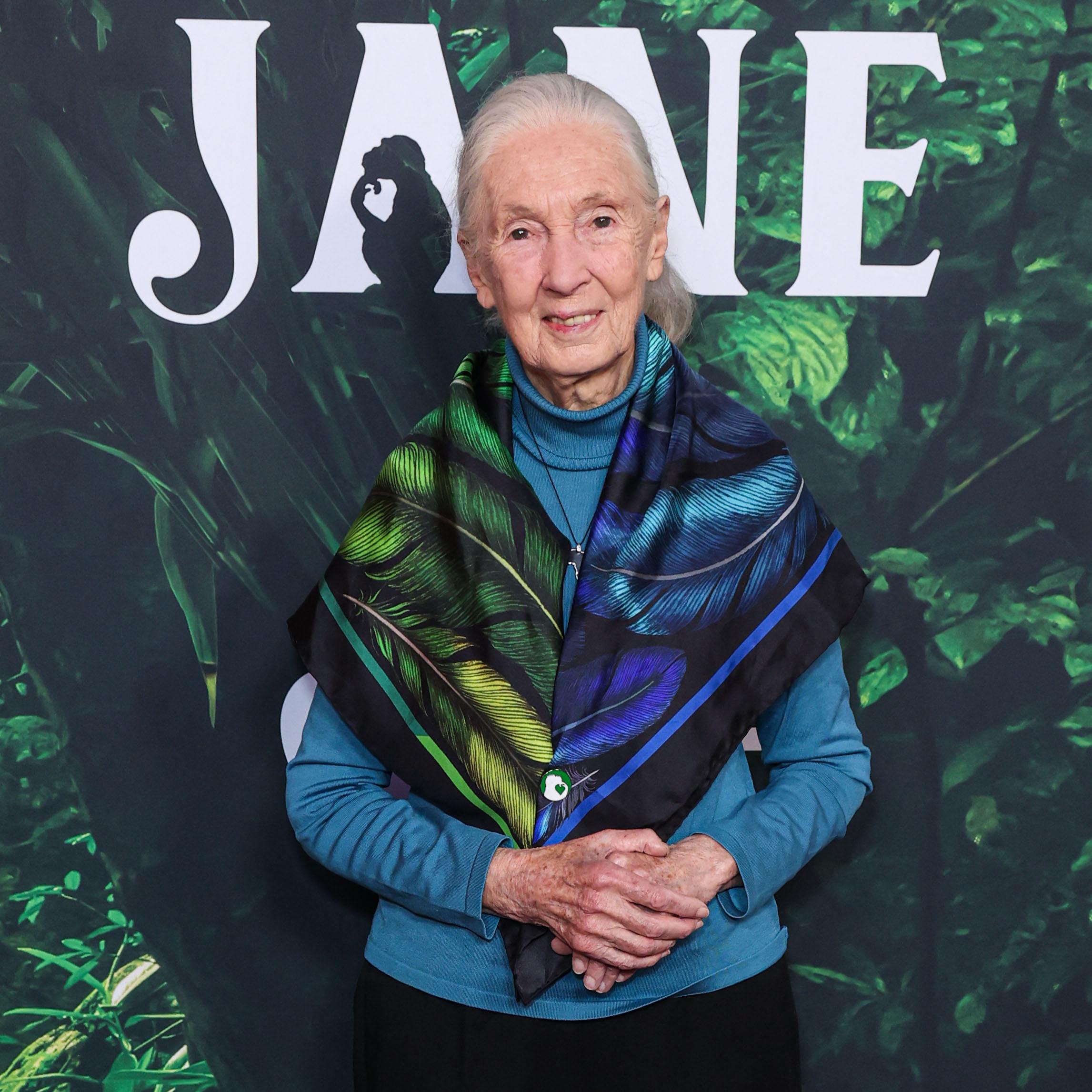 Jane Goodall at the Los Angeles Premiere Of Apple TV+ Original Series 'Jane' Season 1
