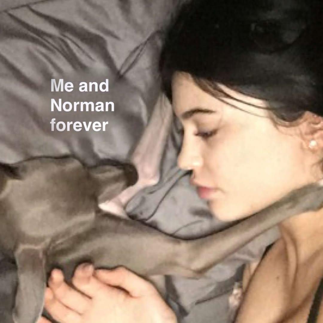 Kylie Jenner and her dog, Norman.