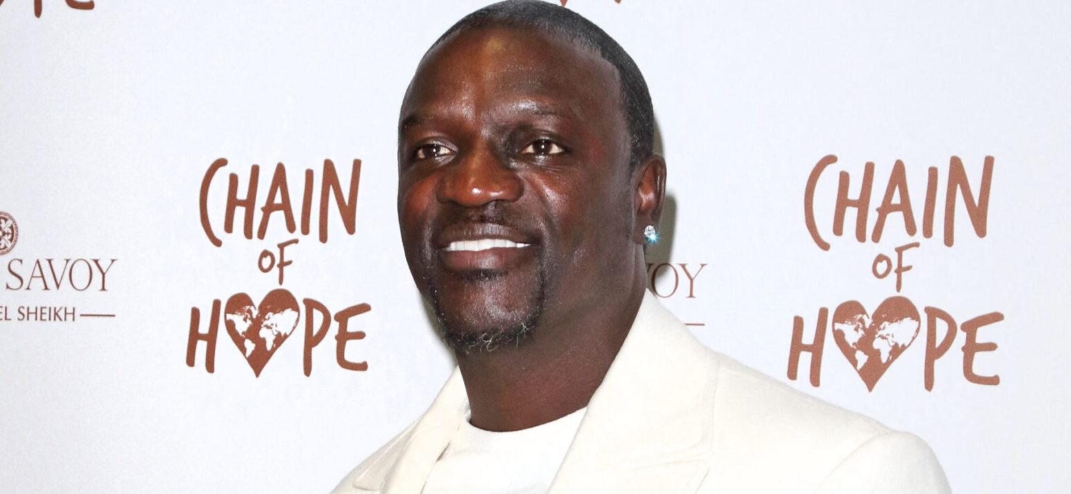 Akon at Chain Of Hope Ball