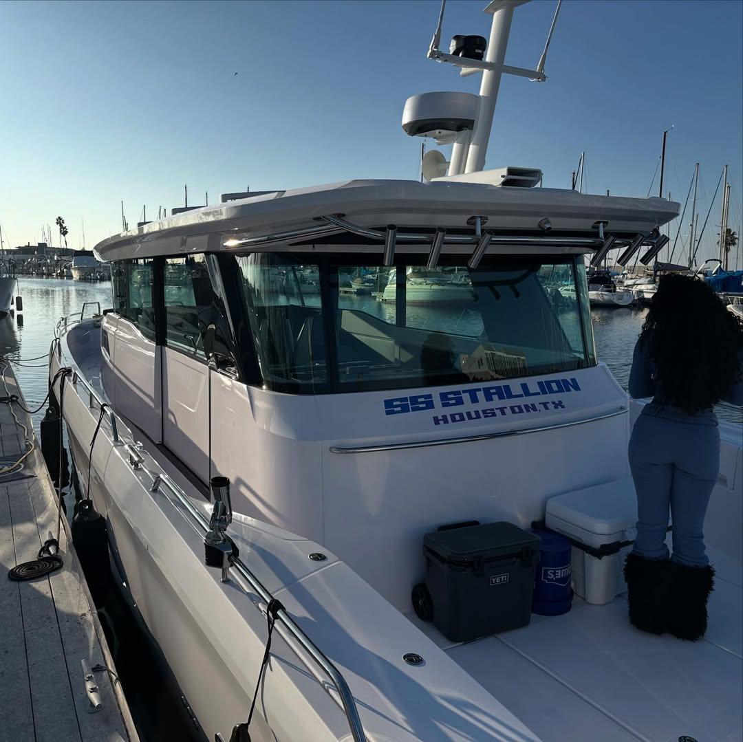 Megan Thee Stallion beau names a boat after her