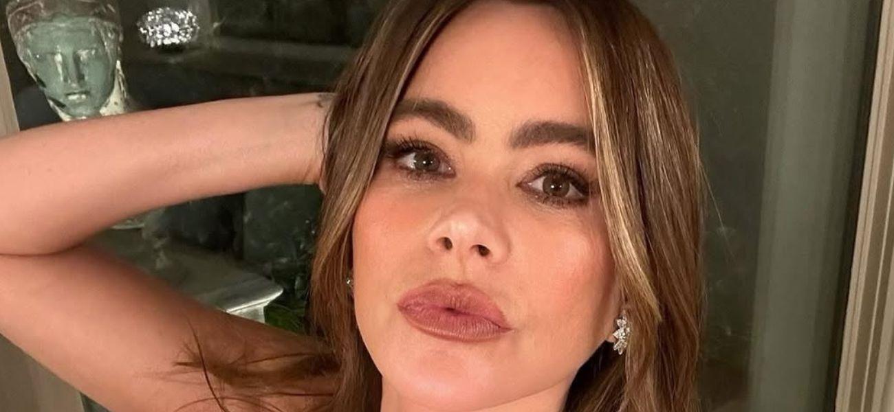 Sofia Vergara takes a selfie
