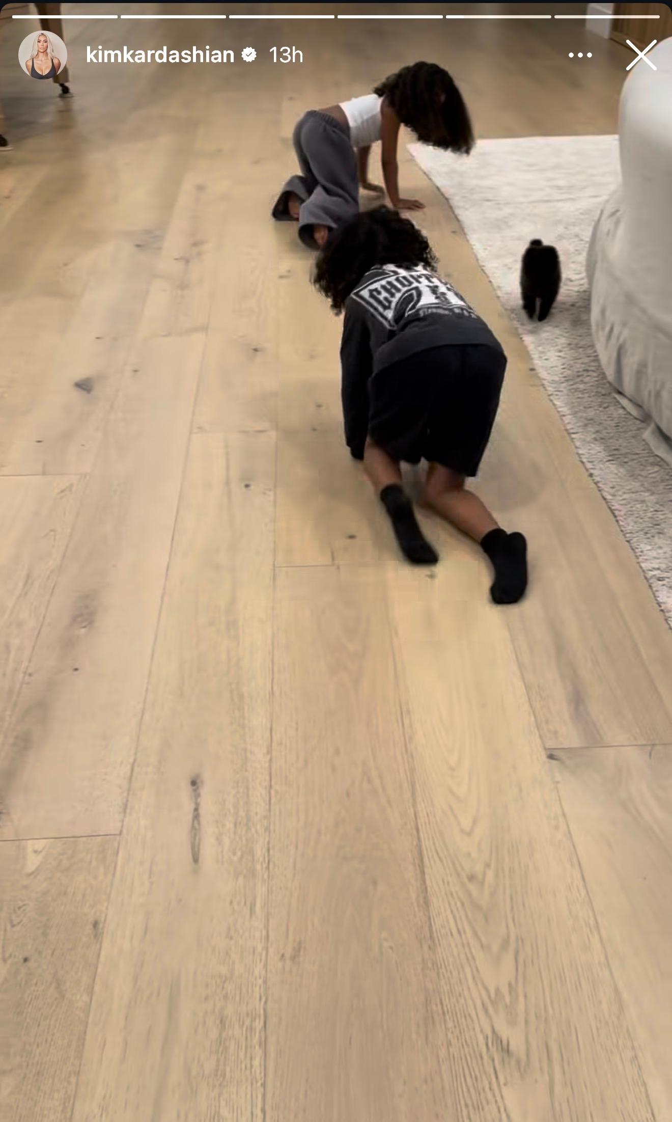 Kim Kardashian gifts her kids puppies