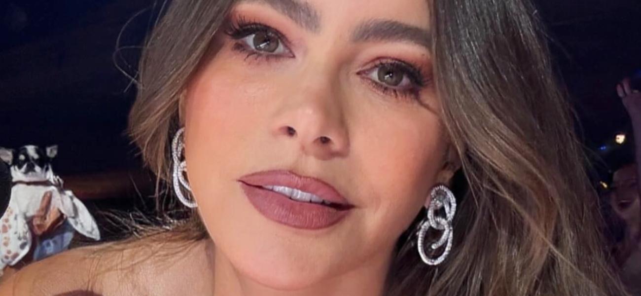 Sofia Vergara close up