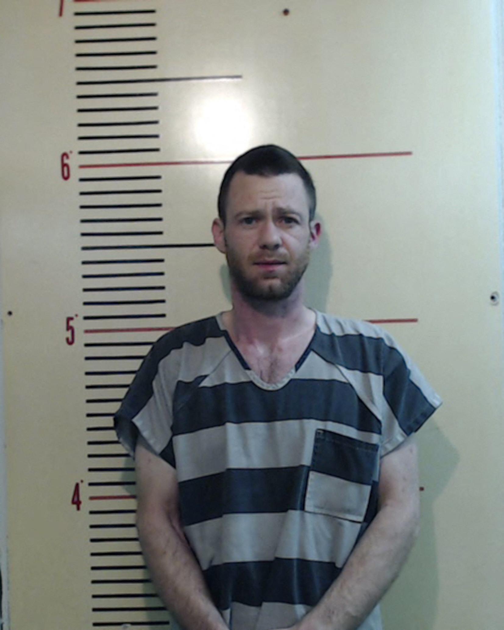 Actor Bug Hall, known for his starring role as Alfalfa in 1994 family comedy movie, The Little Rascals, poses in a mugshot following his arrest in Texas