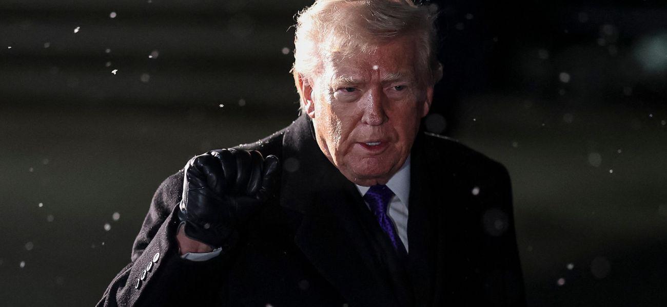 Donald Trump on the South Lawn