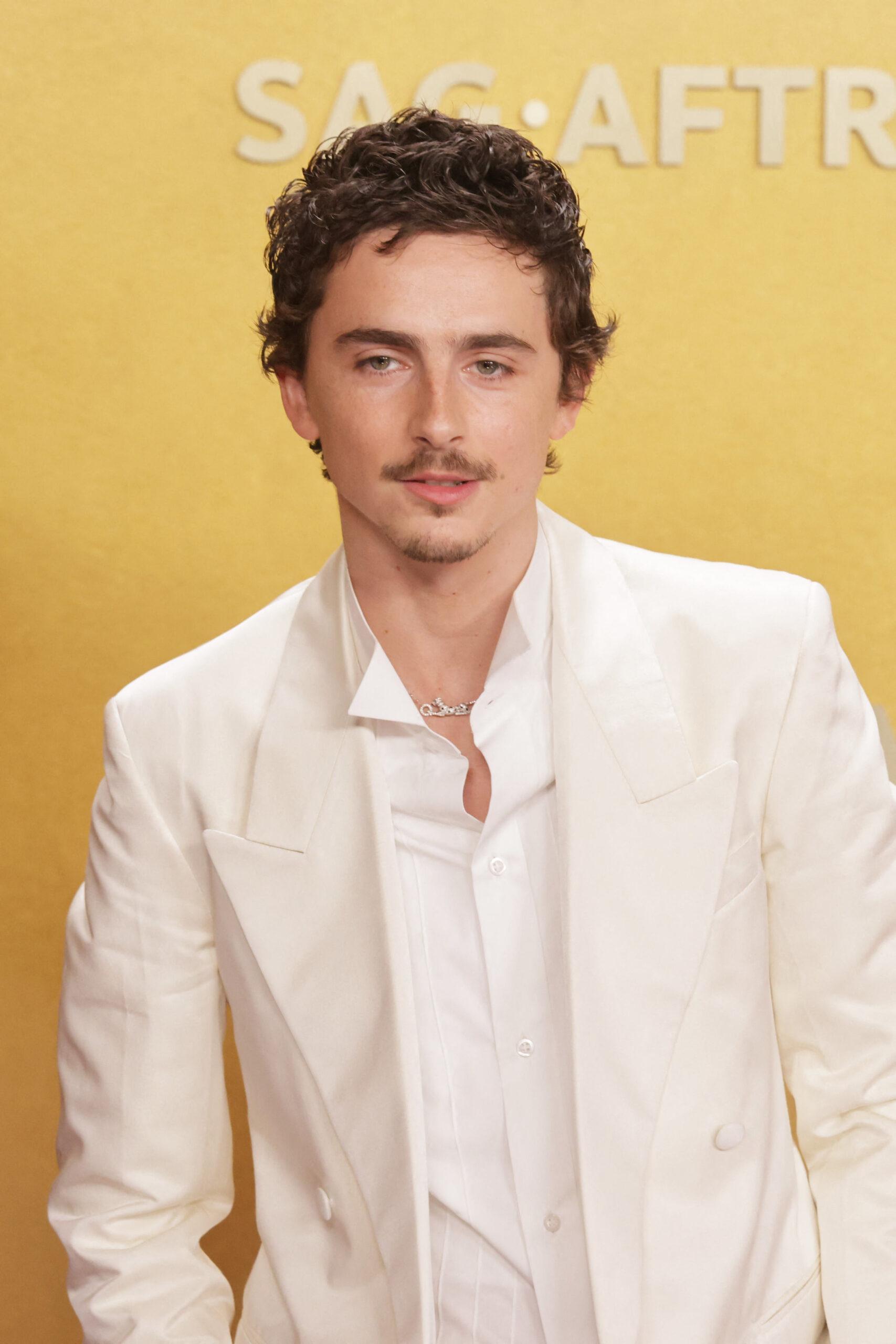 Timothée Chalamet at the 32nd Annual Actor Awards