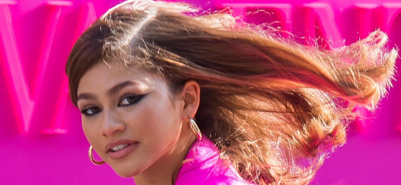 Zendaya Expresses Gratitude For Fan’s Support After 'Tiny' Music Return