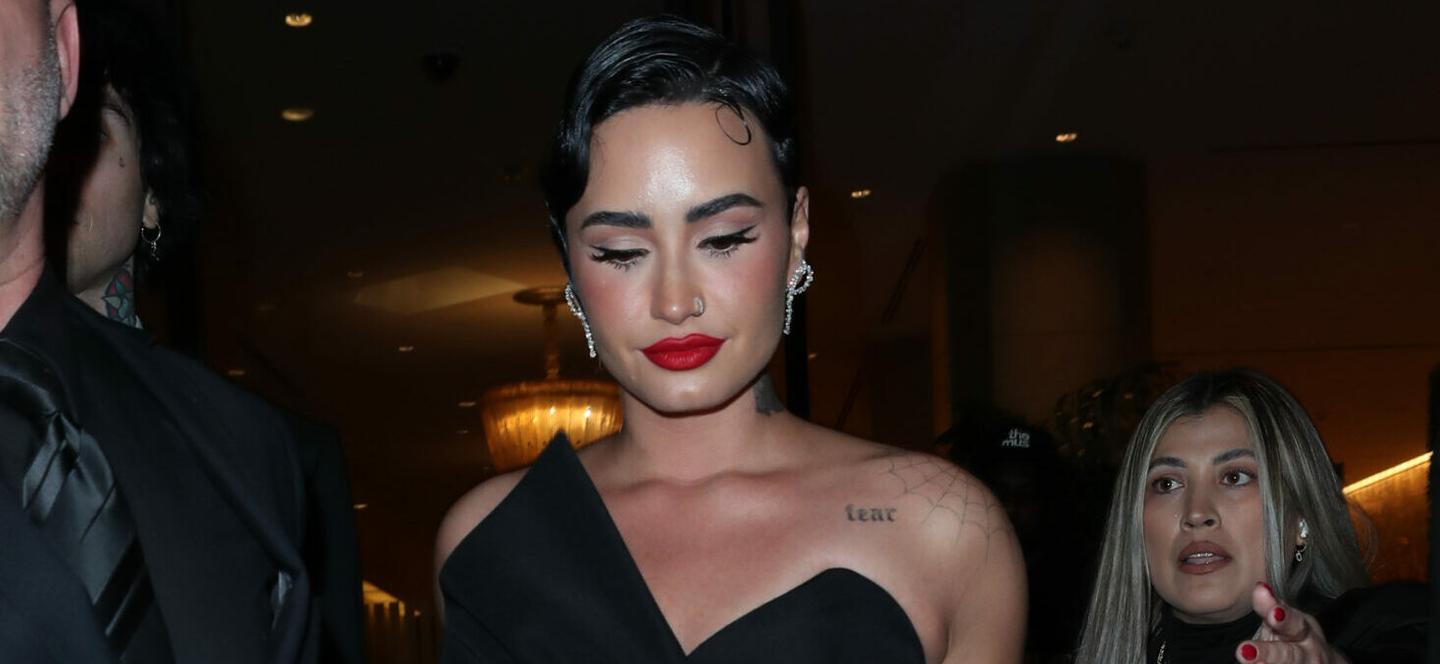 Demi Lovato Slams New Guidelines For Childhood 'Obesity'(02)