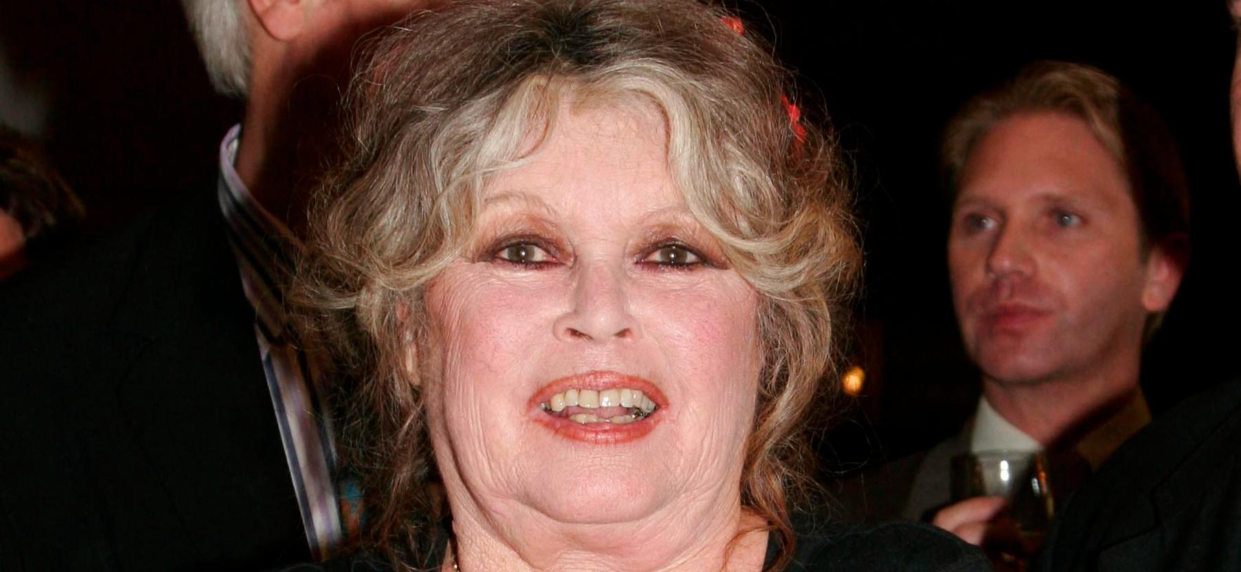 O que Brigitte Bardot finalmente prometeu a seu filho distante