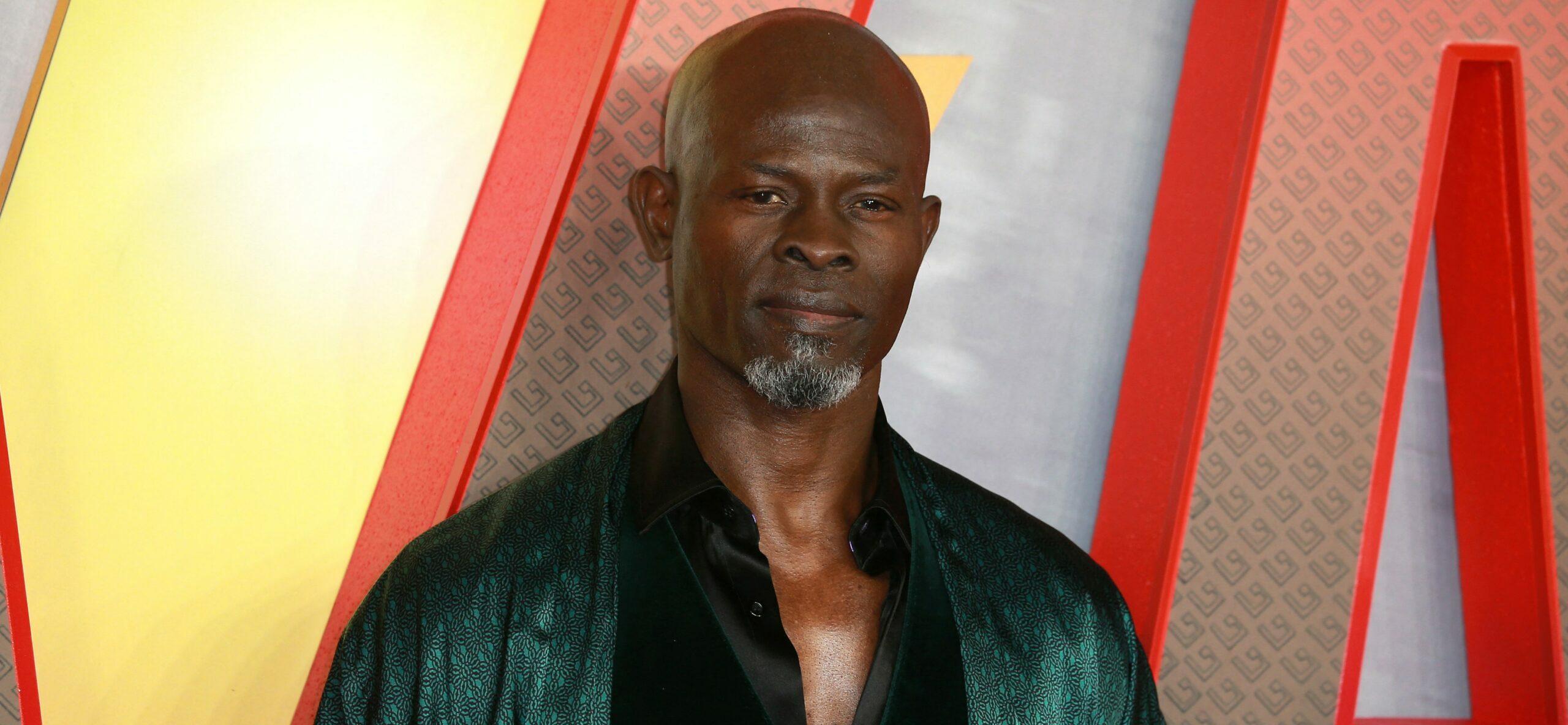 A mãe de Djimon Hounsou quebra o silêncio após a prisão do ataque